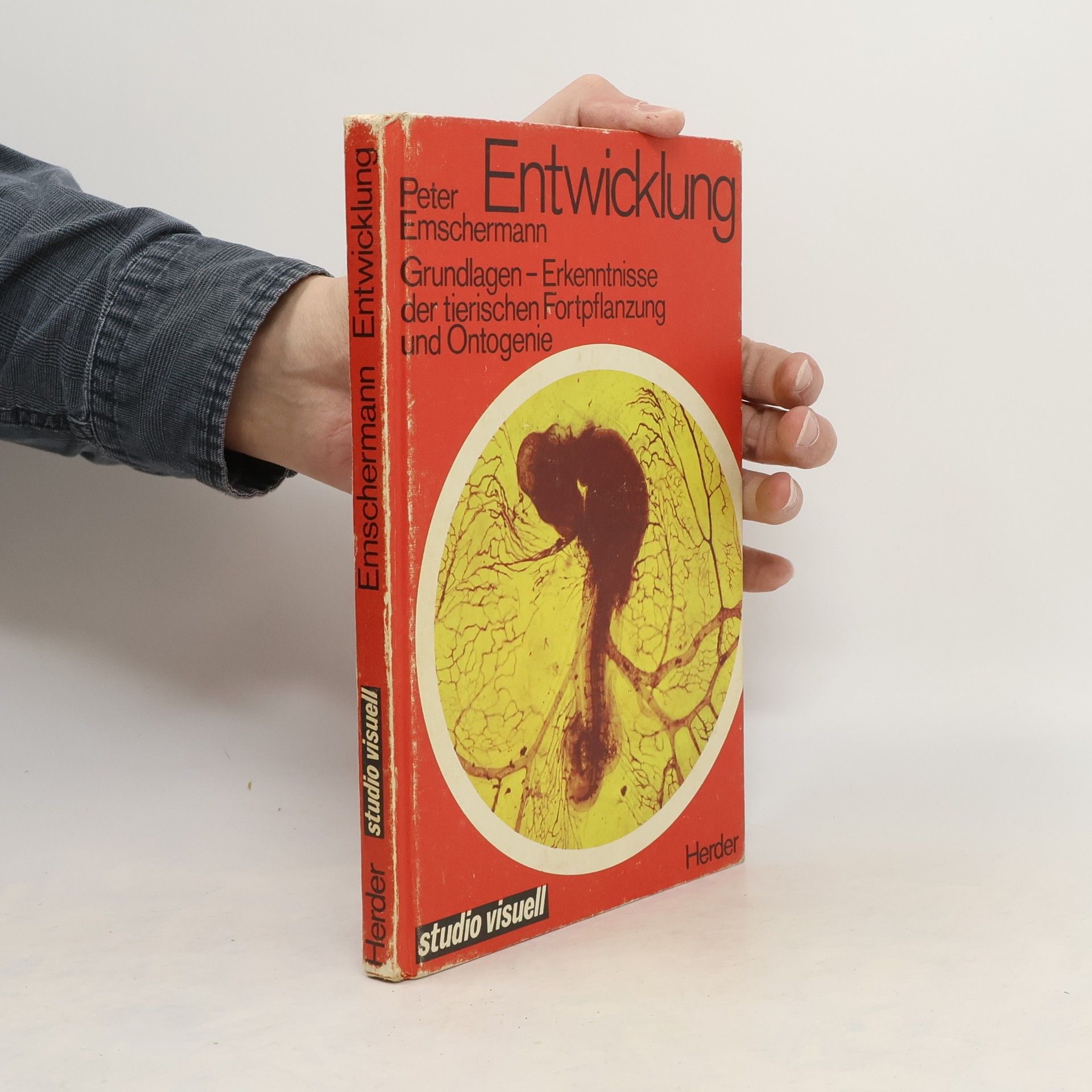 Peter Emschermann Entwicklung