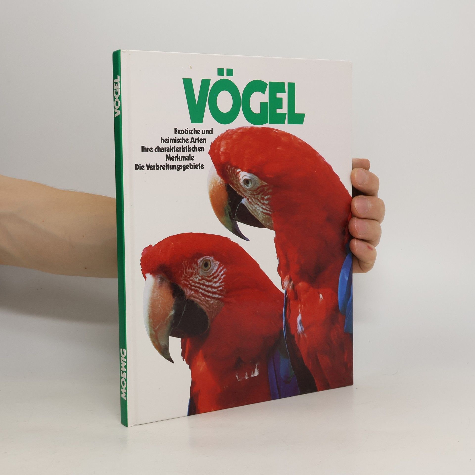 Diethard H. Klein Vögel