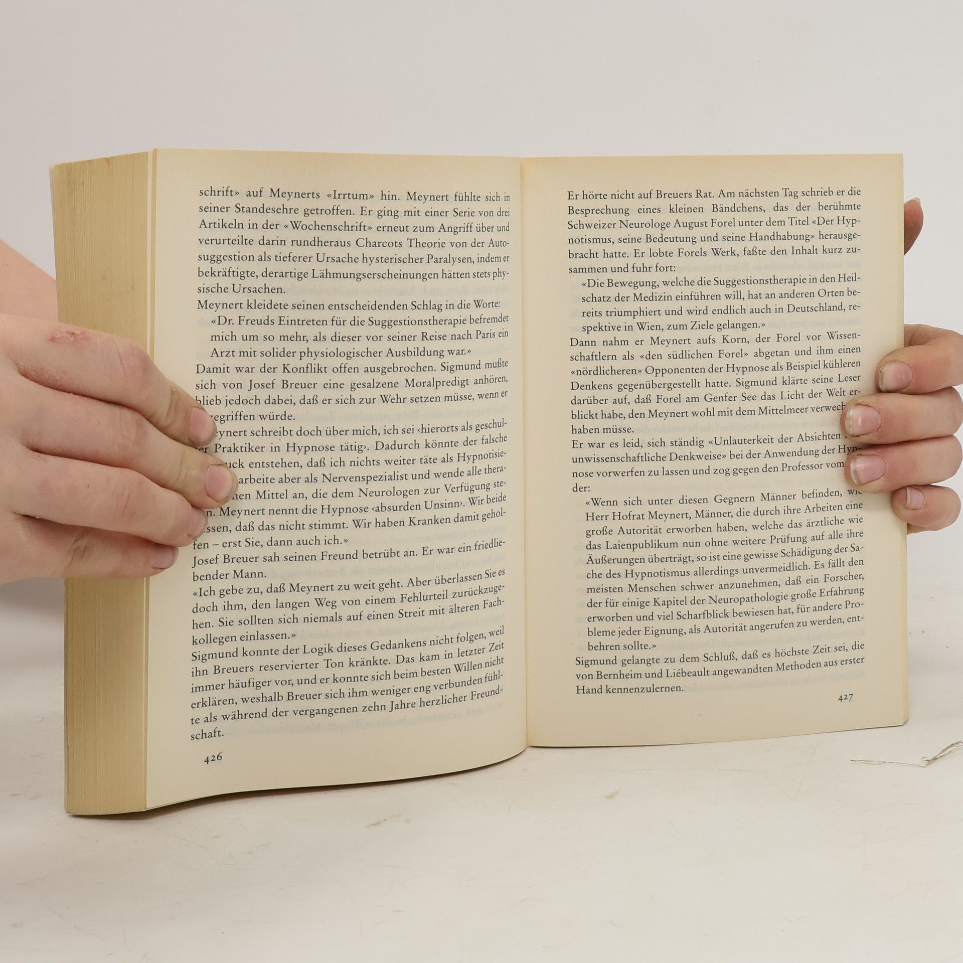 Irving Stone Der Seele dunkle Pfade