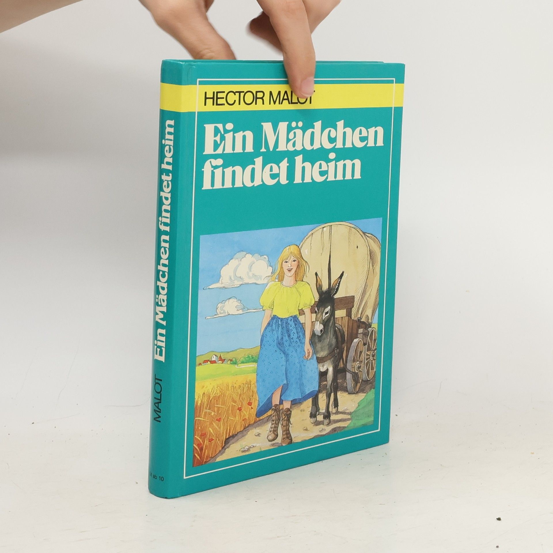 Hector Malot Ein Mädchen findet heim