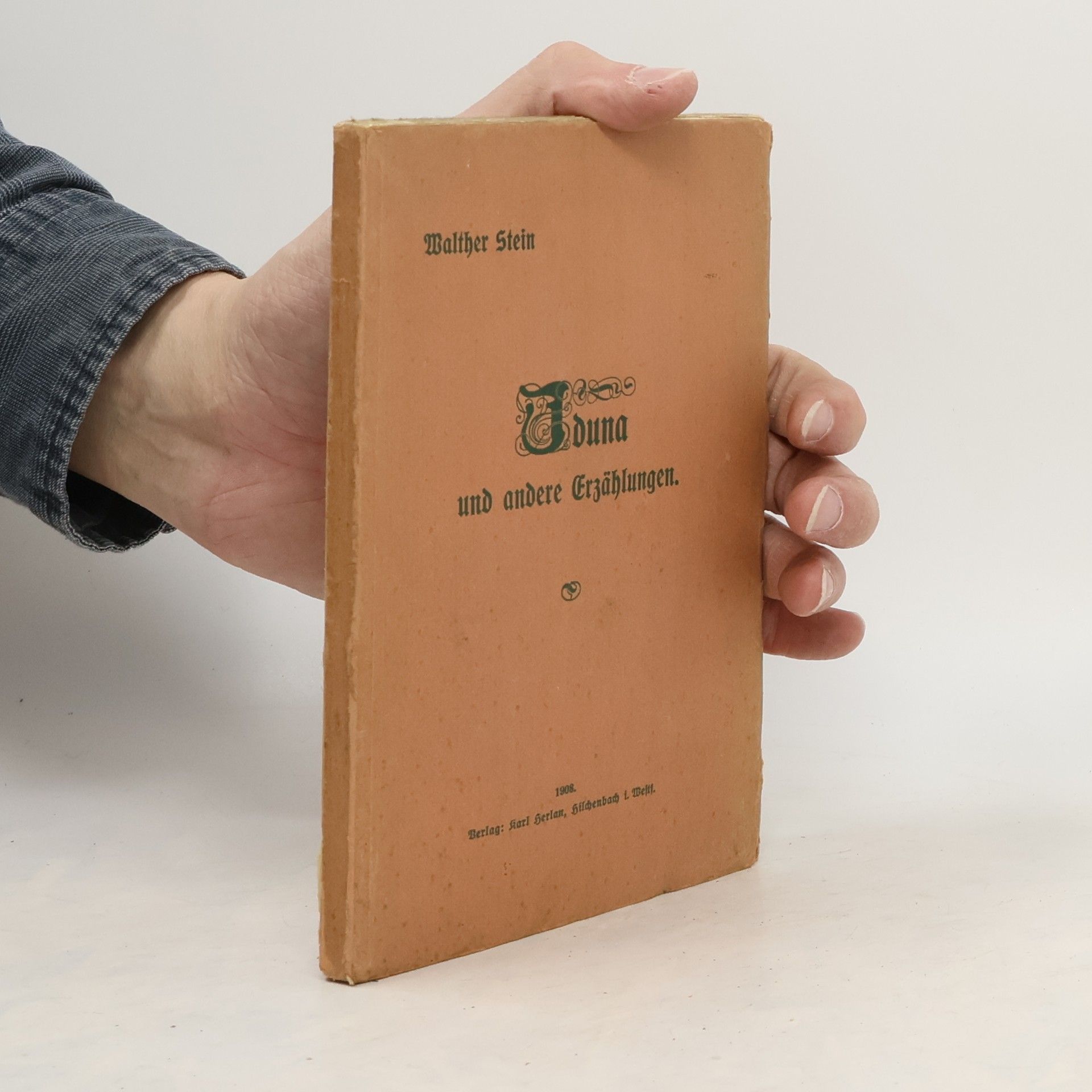 Walter Stein Iduna und andere Erzählungen