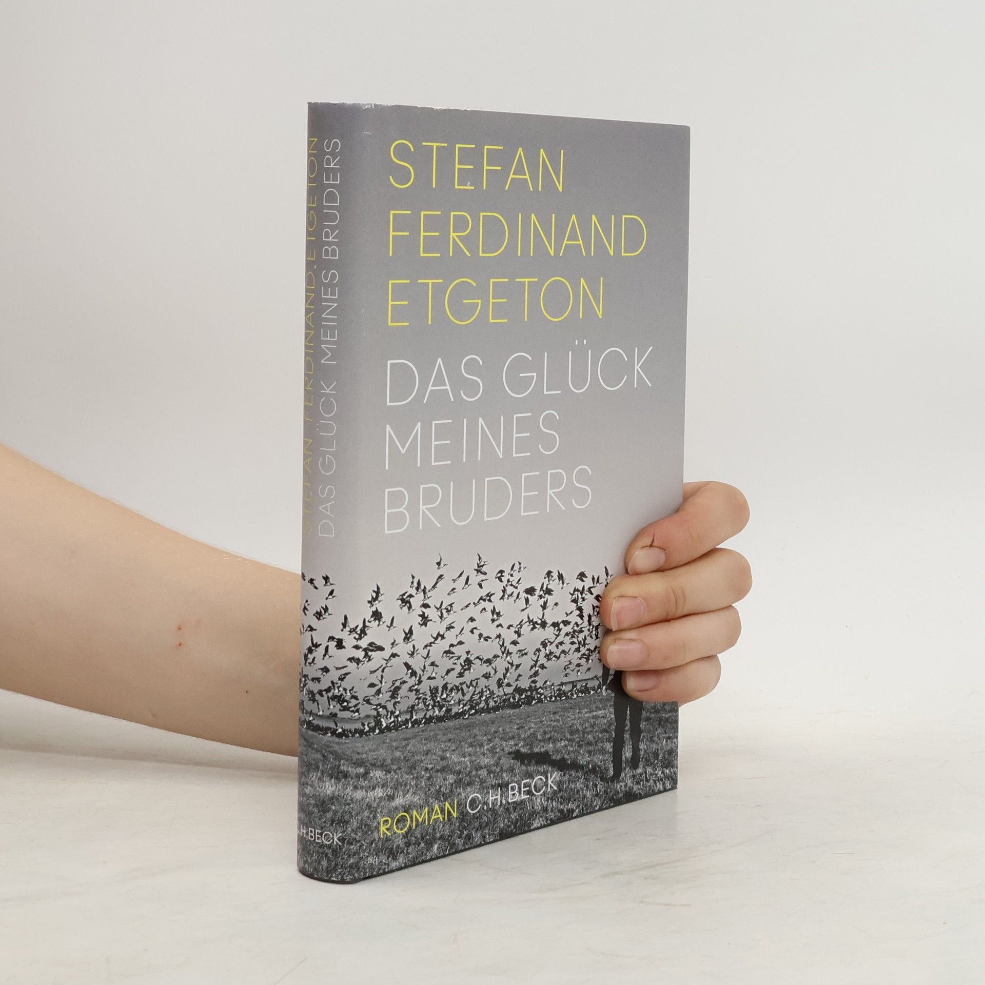 Stefan Ferdinand Etgeton Das Glück meines Bruders