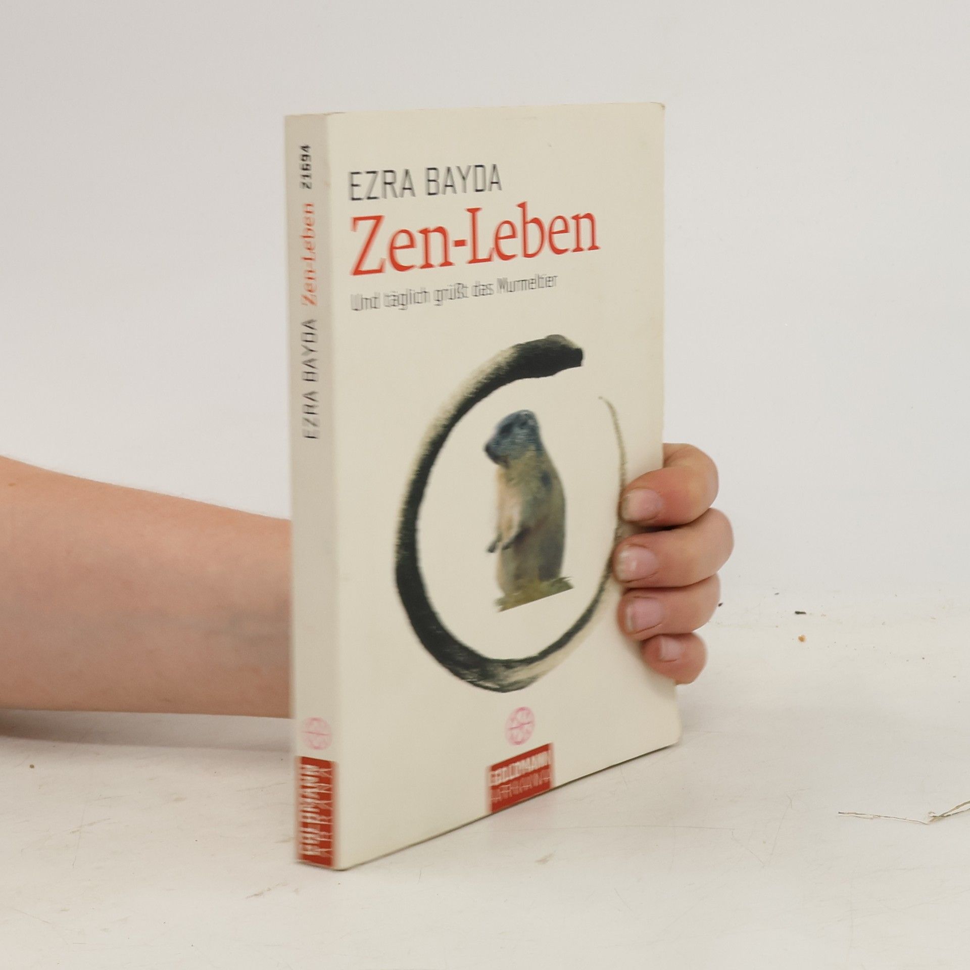 Ezra Bayda Zen-Leben. Und täglich grüßt das Murmeltier
