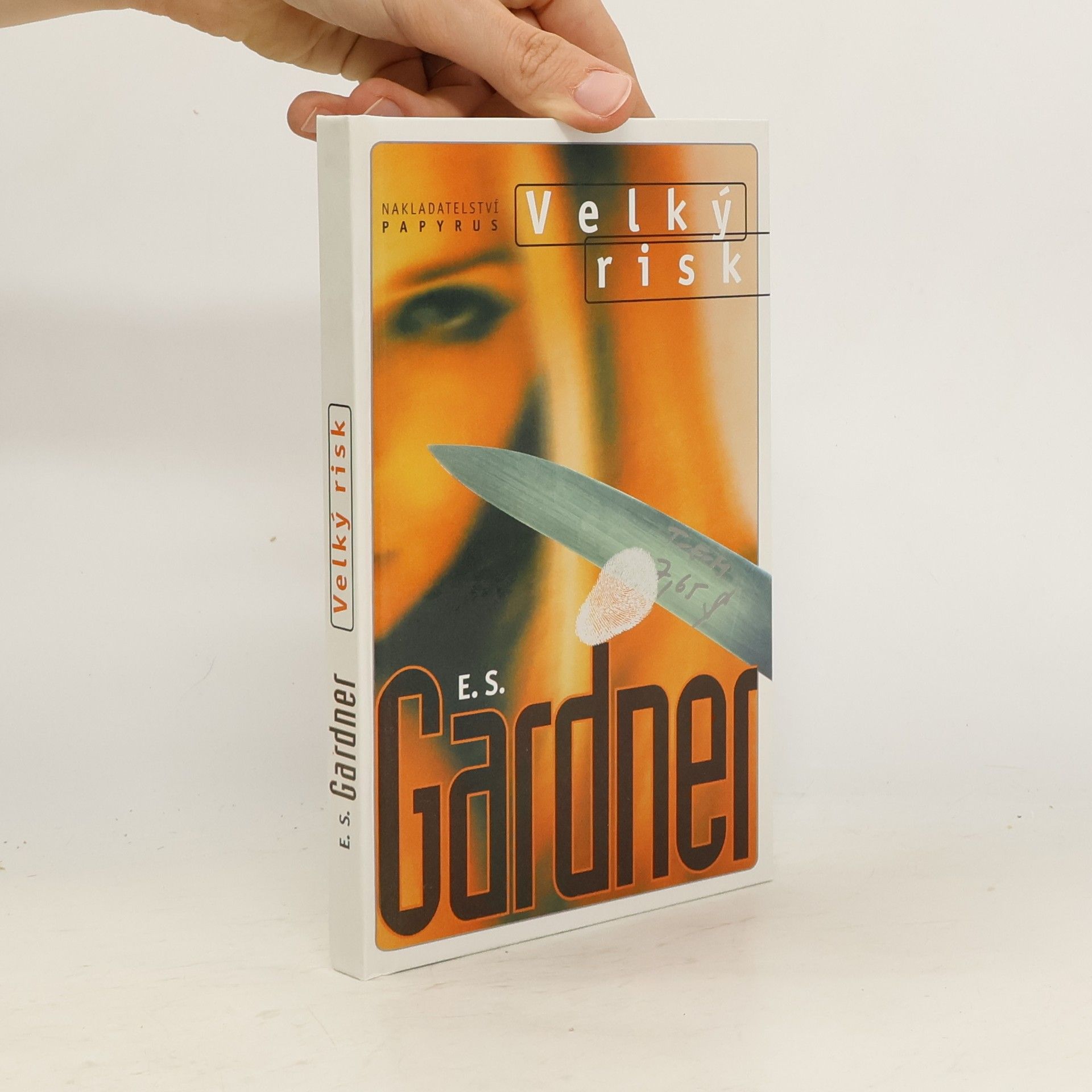 Erle Stanley Gardner Velký risk