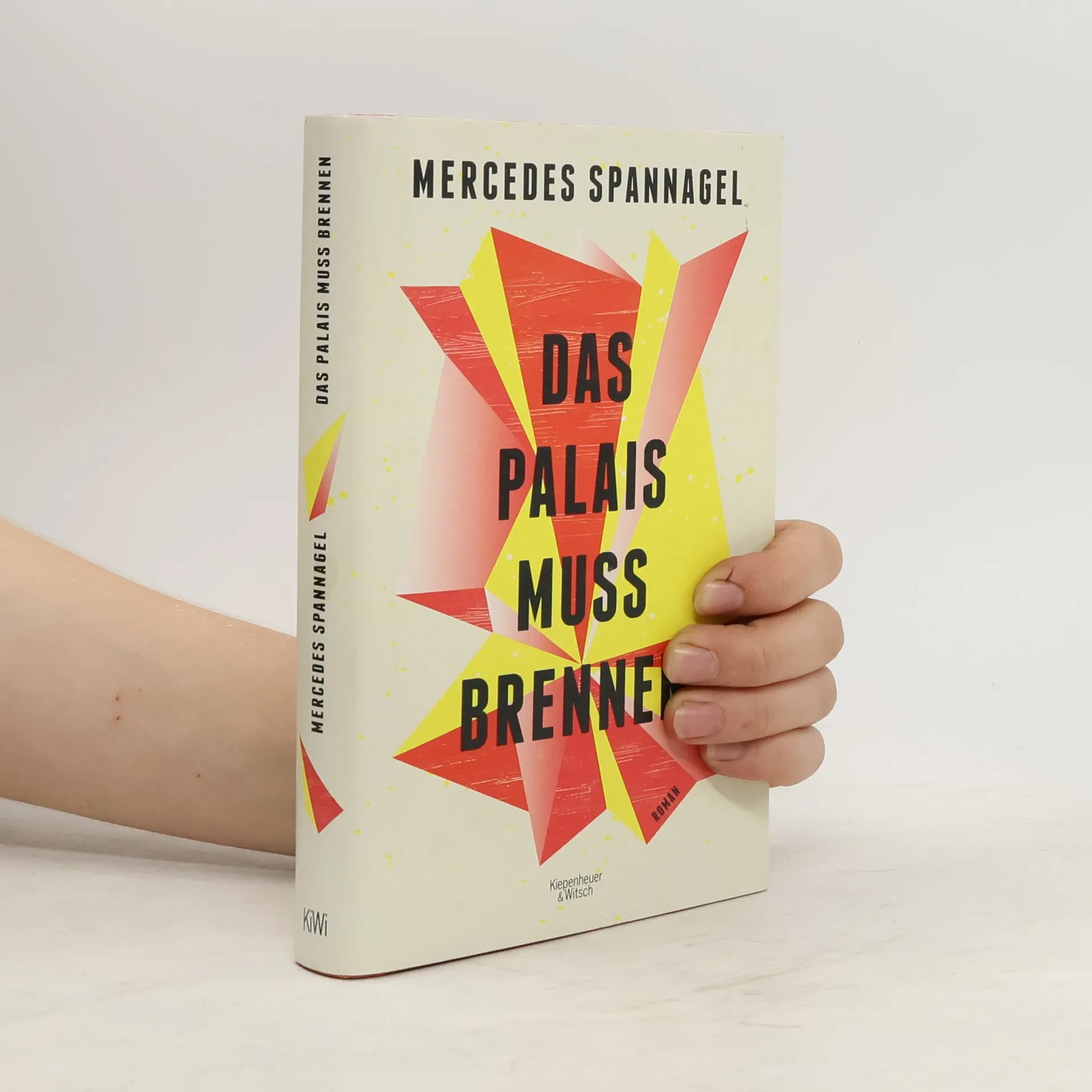 Das Palais muss brennen | Buch | Mercedes Spannagel
