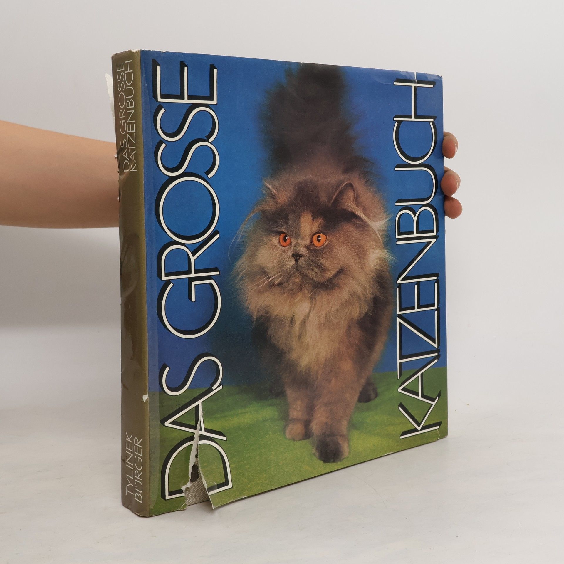 Collective Das grosse Katzenbuch