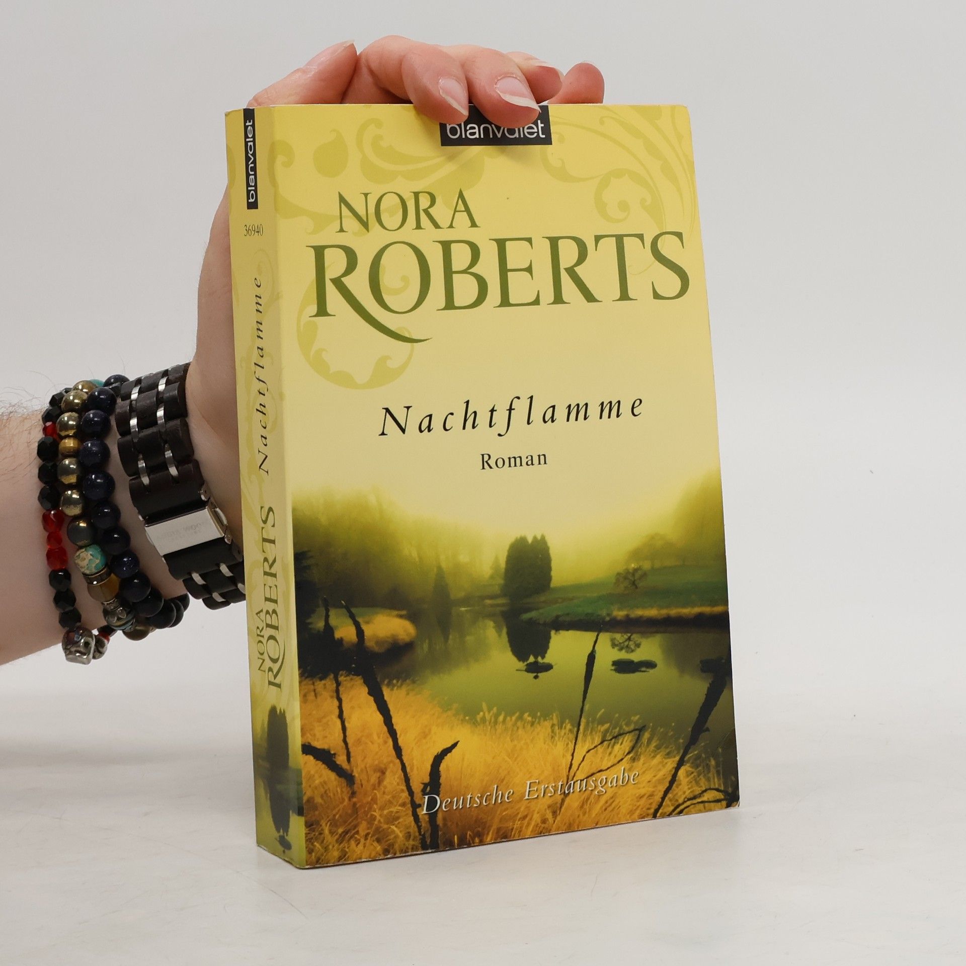 Nora Roberts Nachtflamme