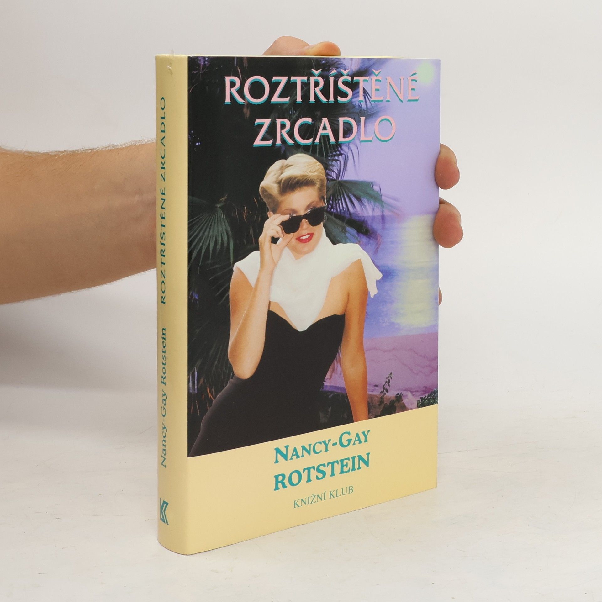 NancyGay Rotstein Roztříštěné zrcadlo