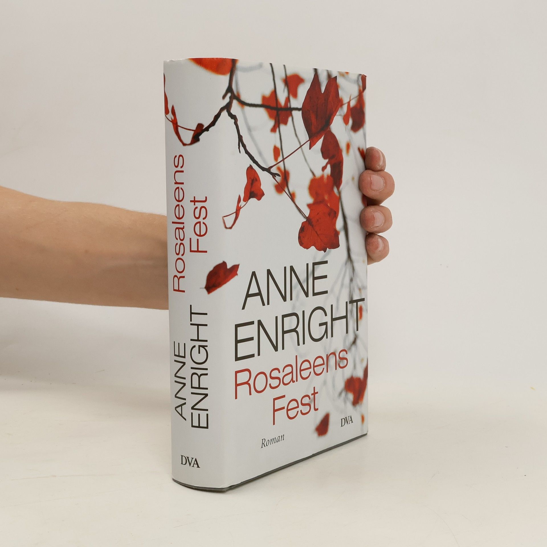 Anne Enright Rosaleens Fest