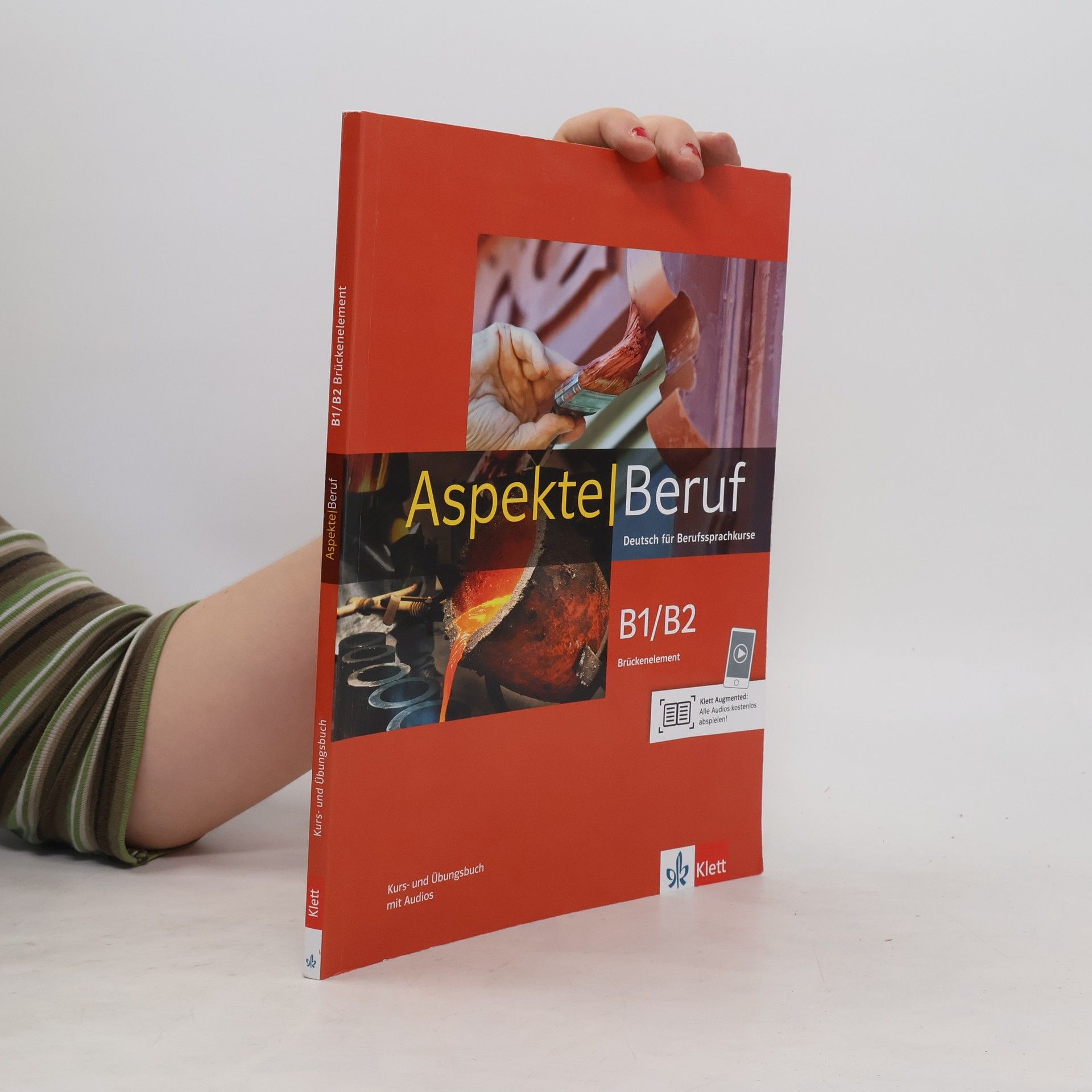Ute Koithan Aspekte Beruf B1/B2