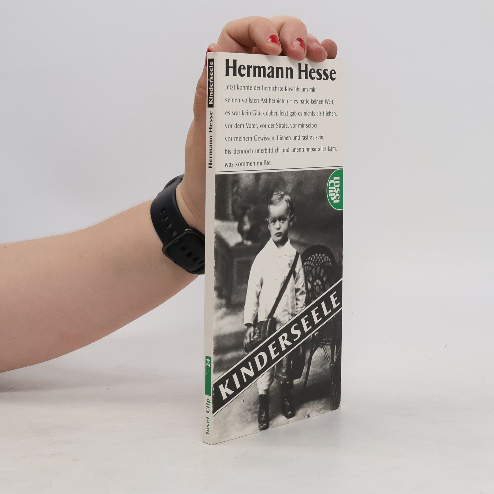 Hermann Hesse Kinderseele