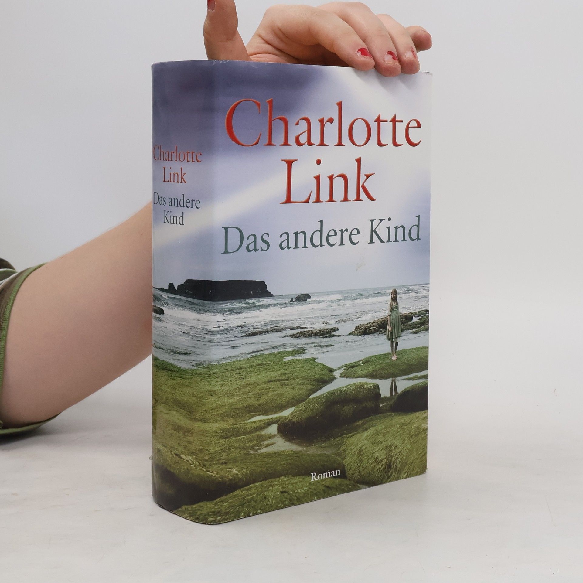 Charlotte Link Das andere Kind