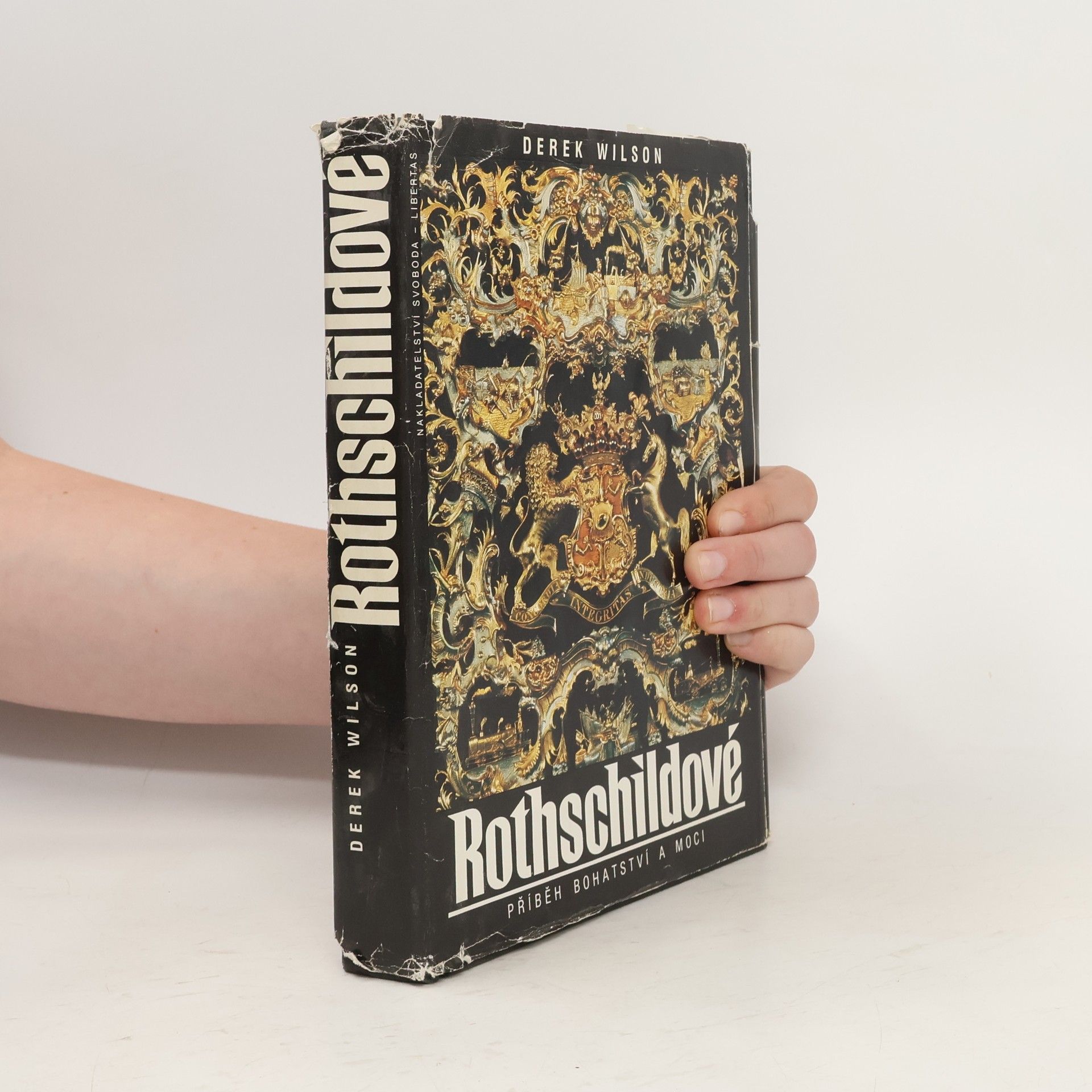 Derek Wilson Rothschildové. Příběh bohatství a moci