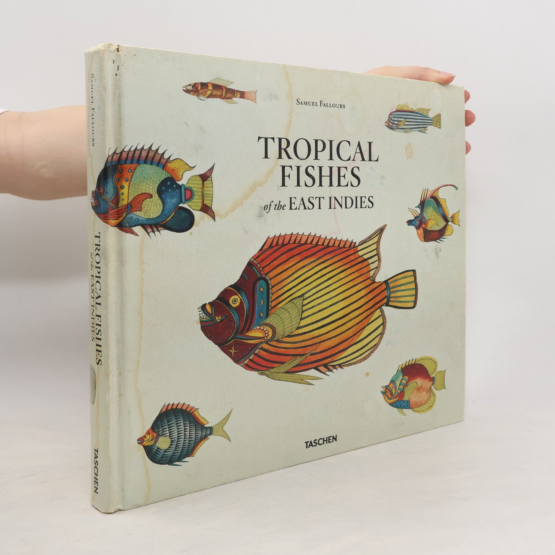 Samuel Fallours Tropical Fishes