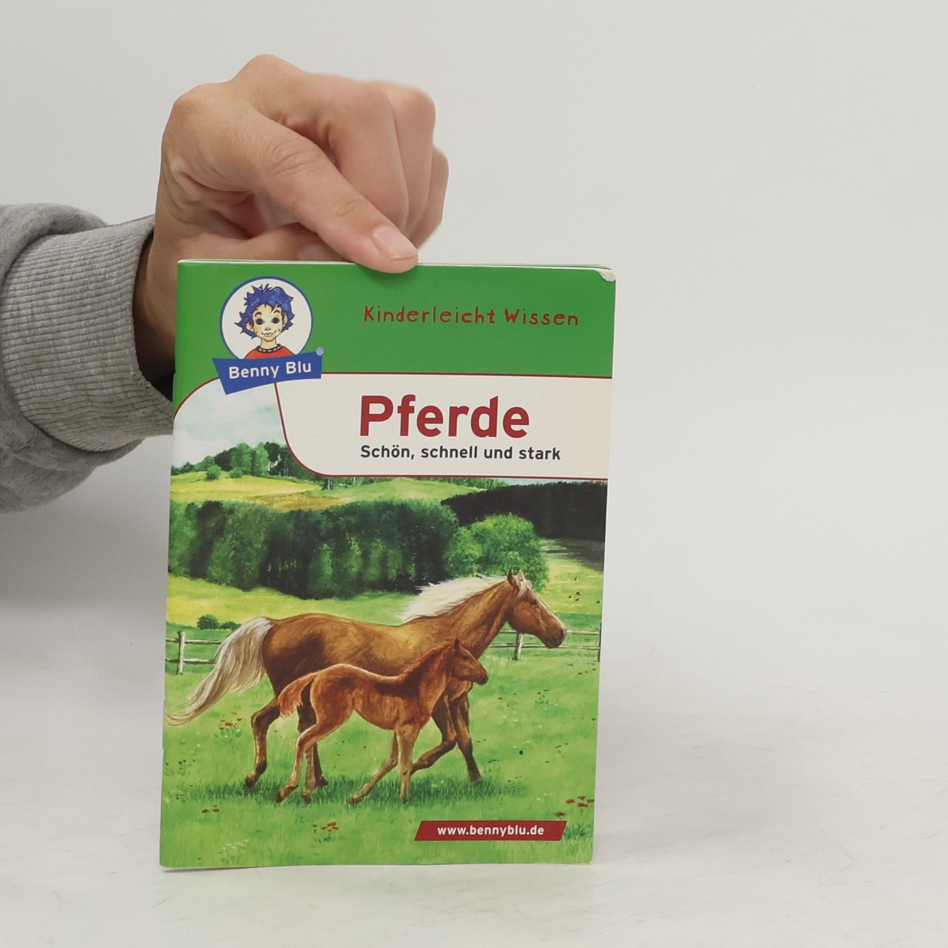 Heidemarie Rötzer Pferde