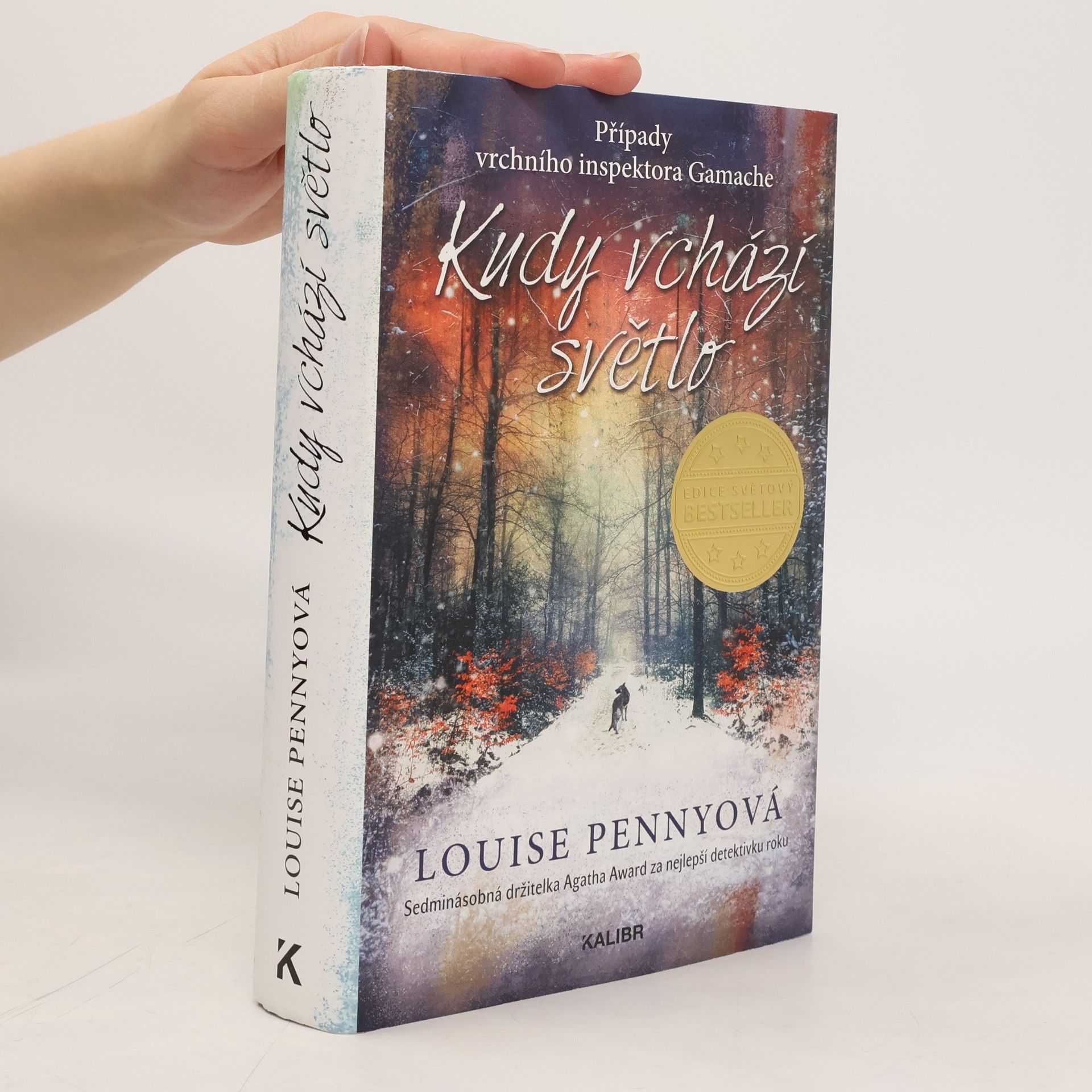 Louise Penny Kudy vchází světlo