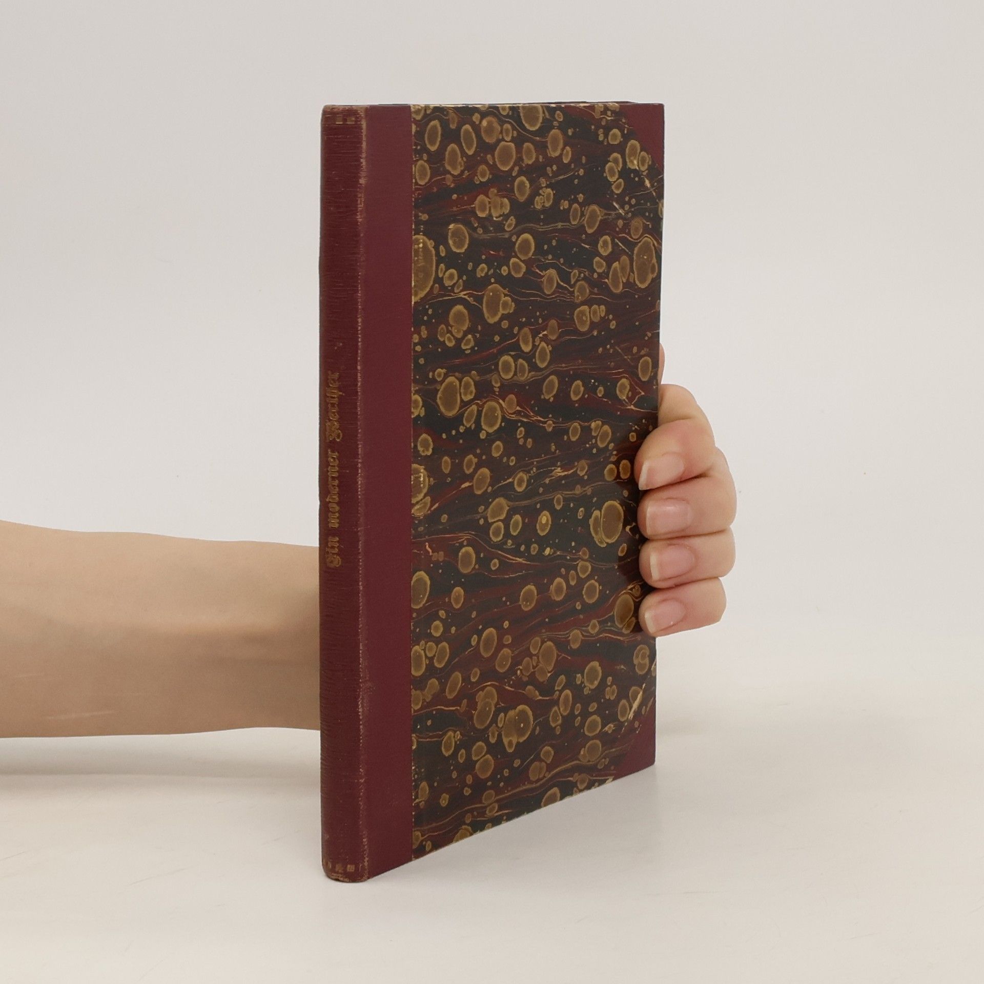 Hermann Walther Ein moderner Werther