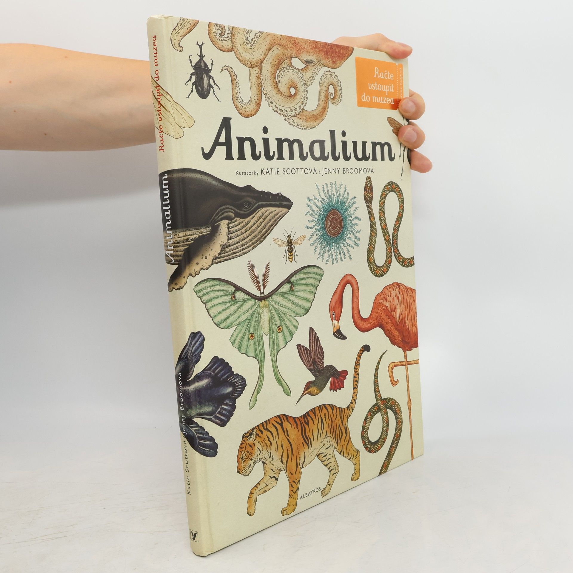 Katie Scott Animalium
