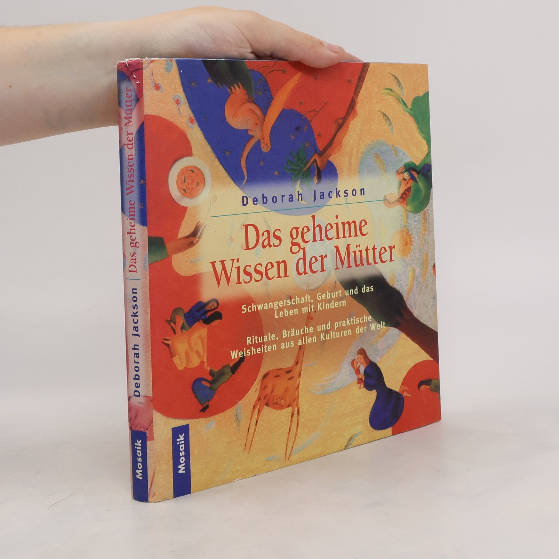 Deborah Jackson Das geheime Wissen der Mütter