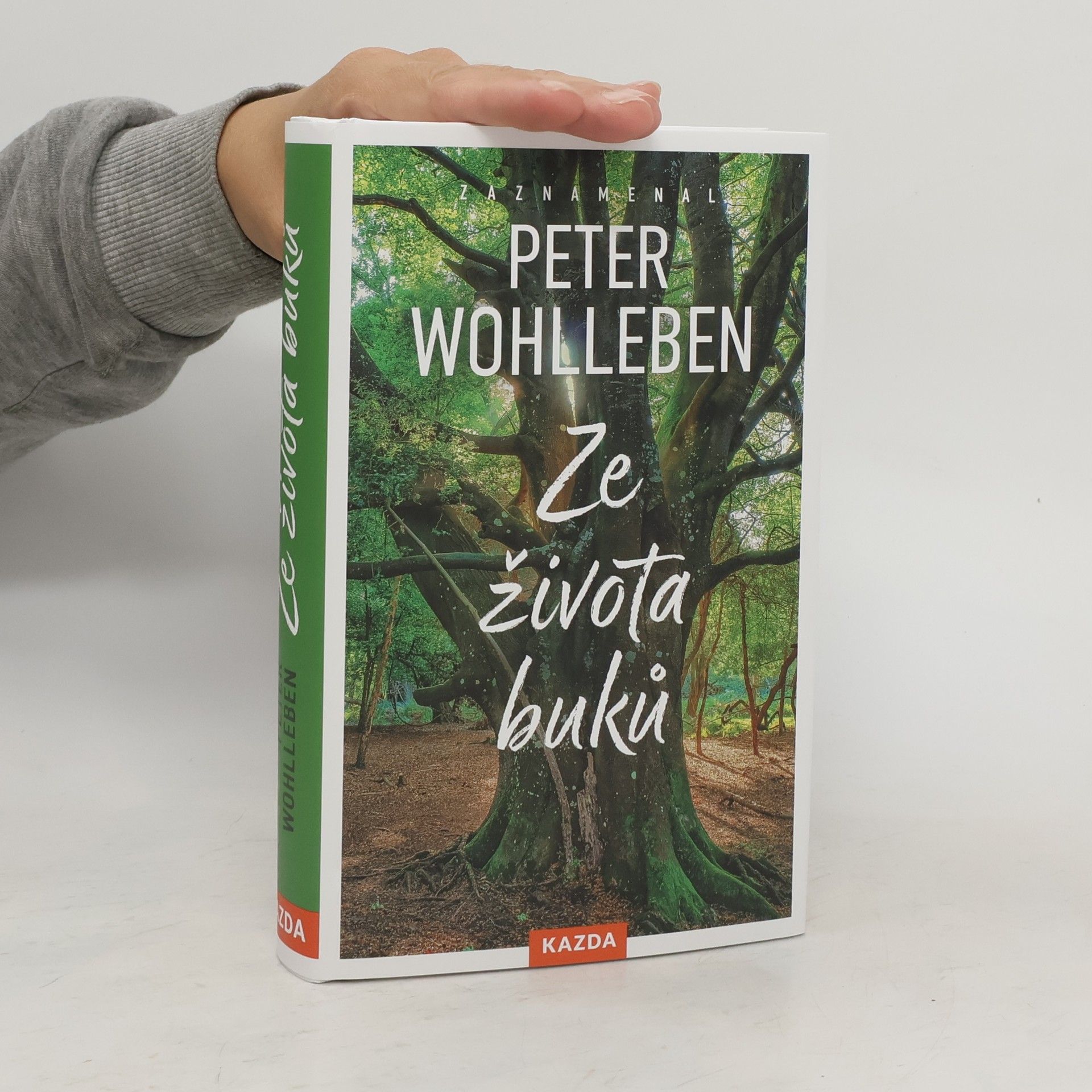Peter Wohlleben Ze života buků