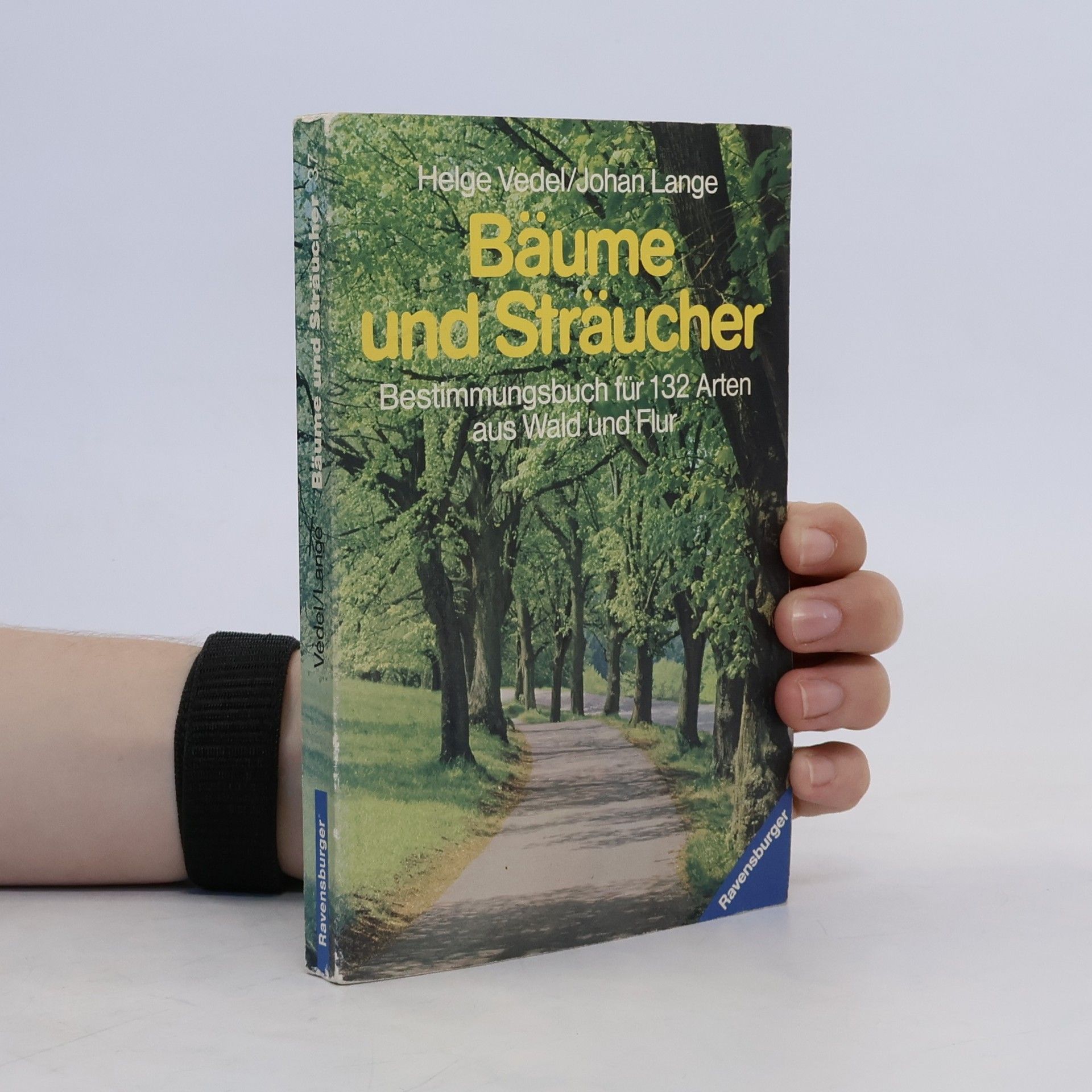 Helge Vedel Bäume und Sträucher in Farben