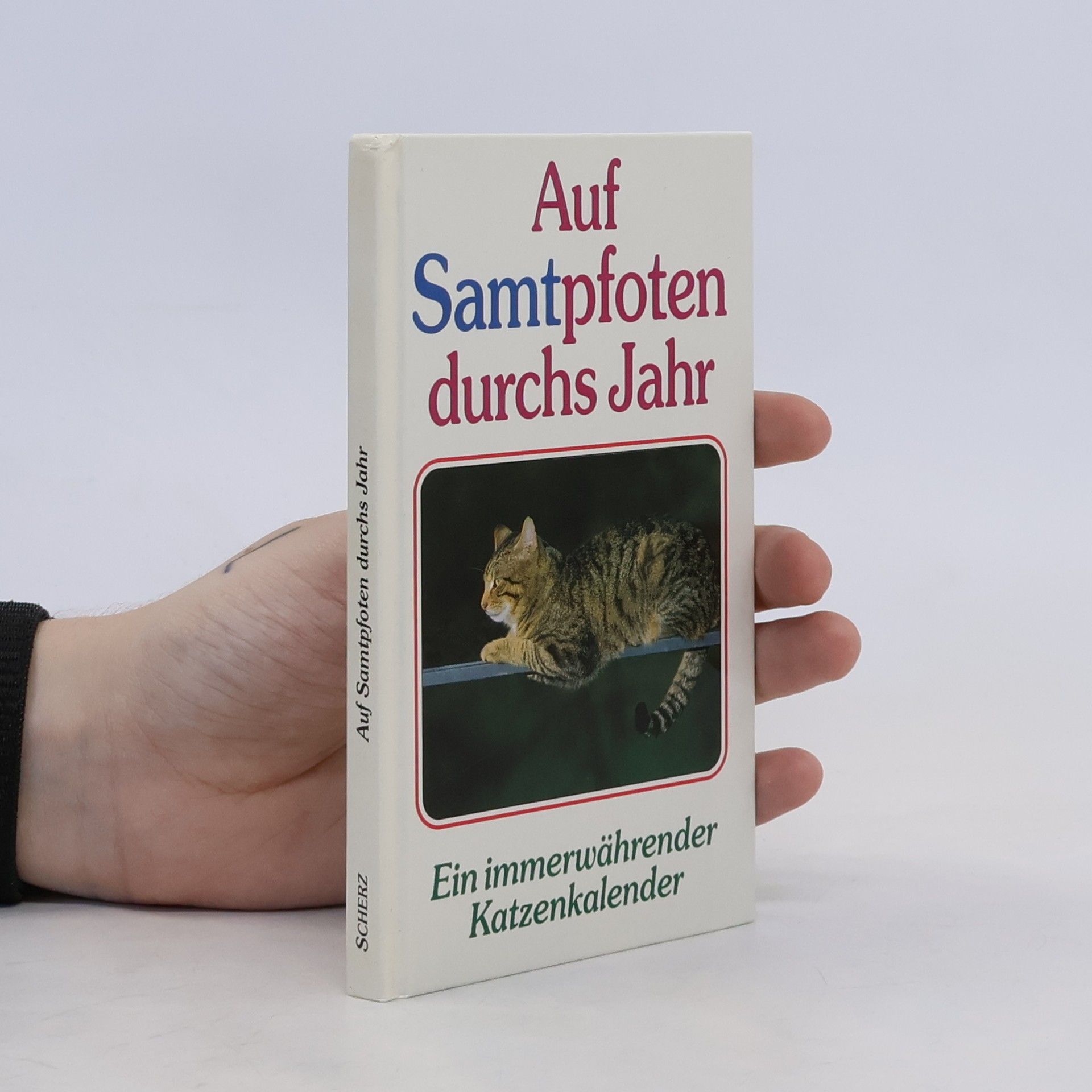 Autorenkollektiv Auf Samtpfoten durchs Jahr