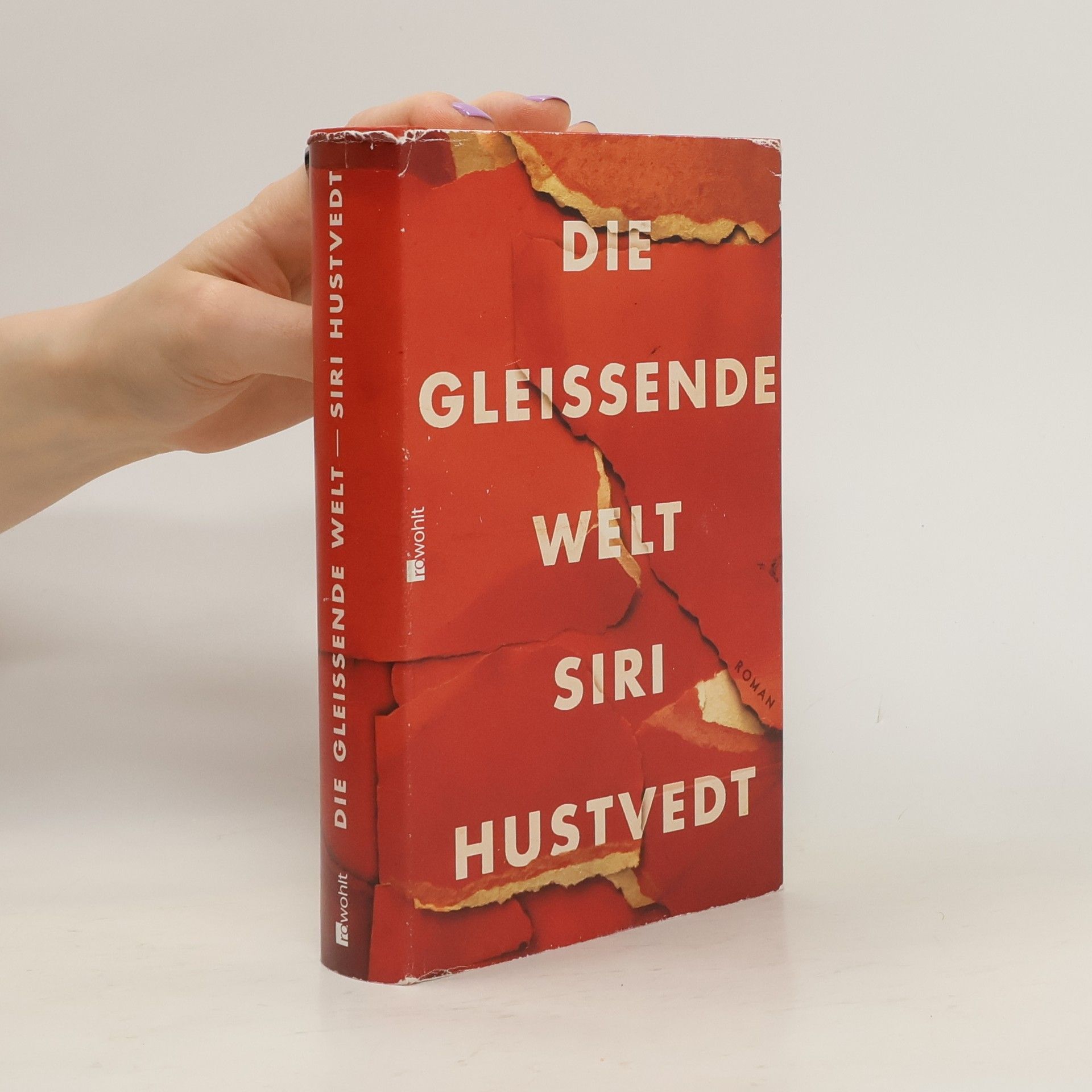 Siri Hustvedt Die gleissende Welt
