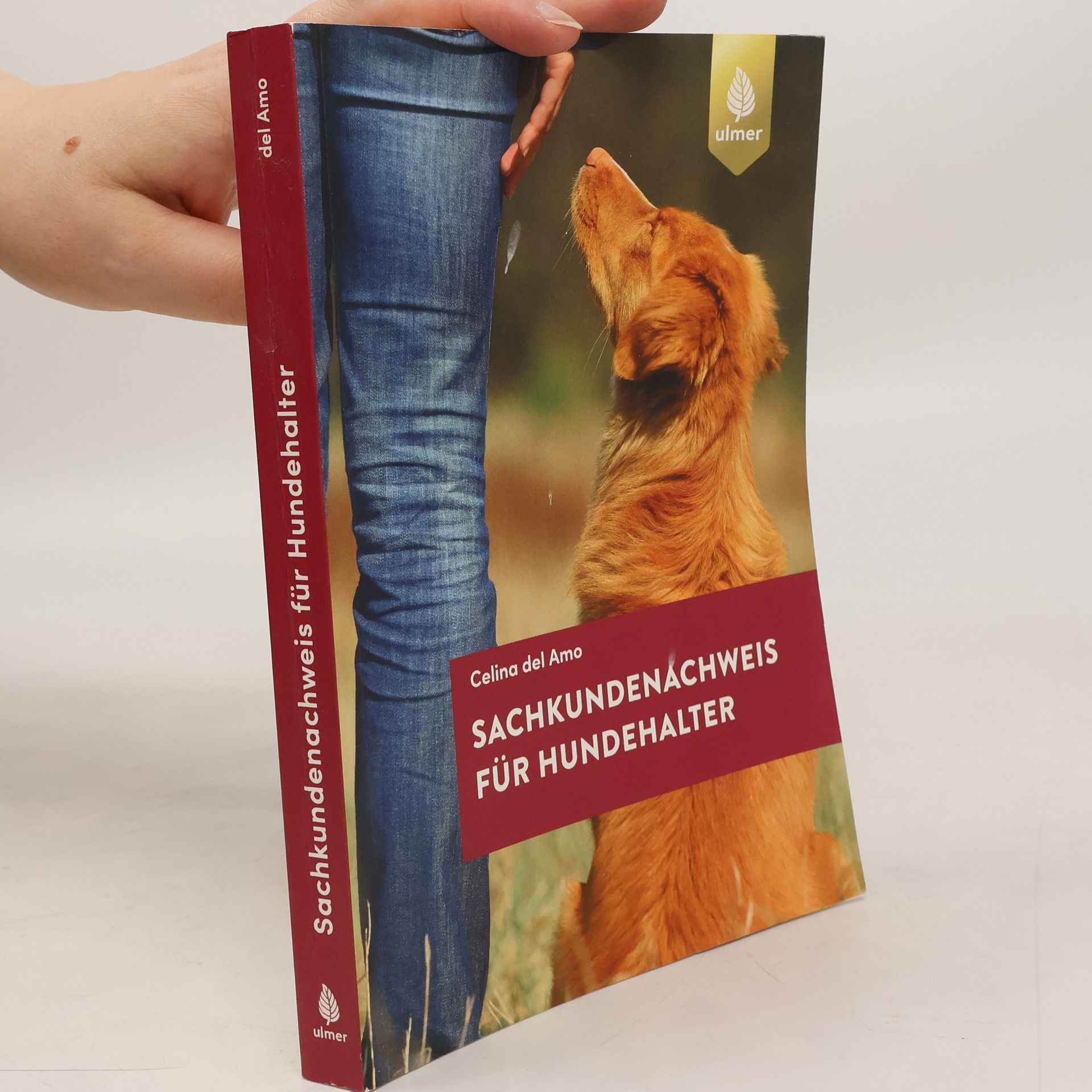 Celina Del Amo Sachkundenachweis für Hundehalter