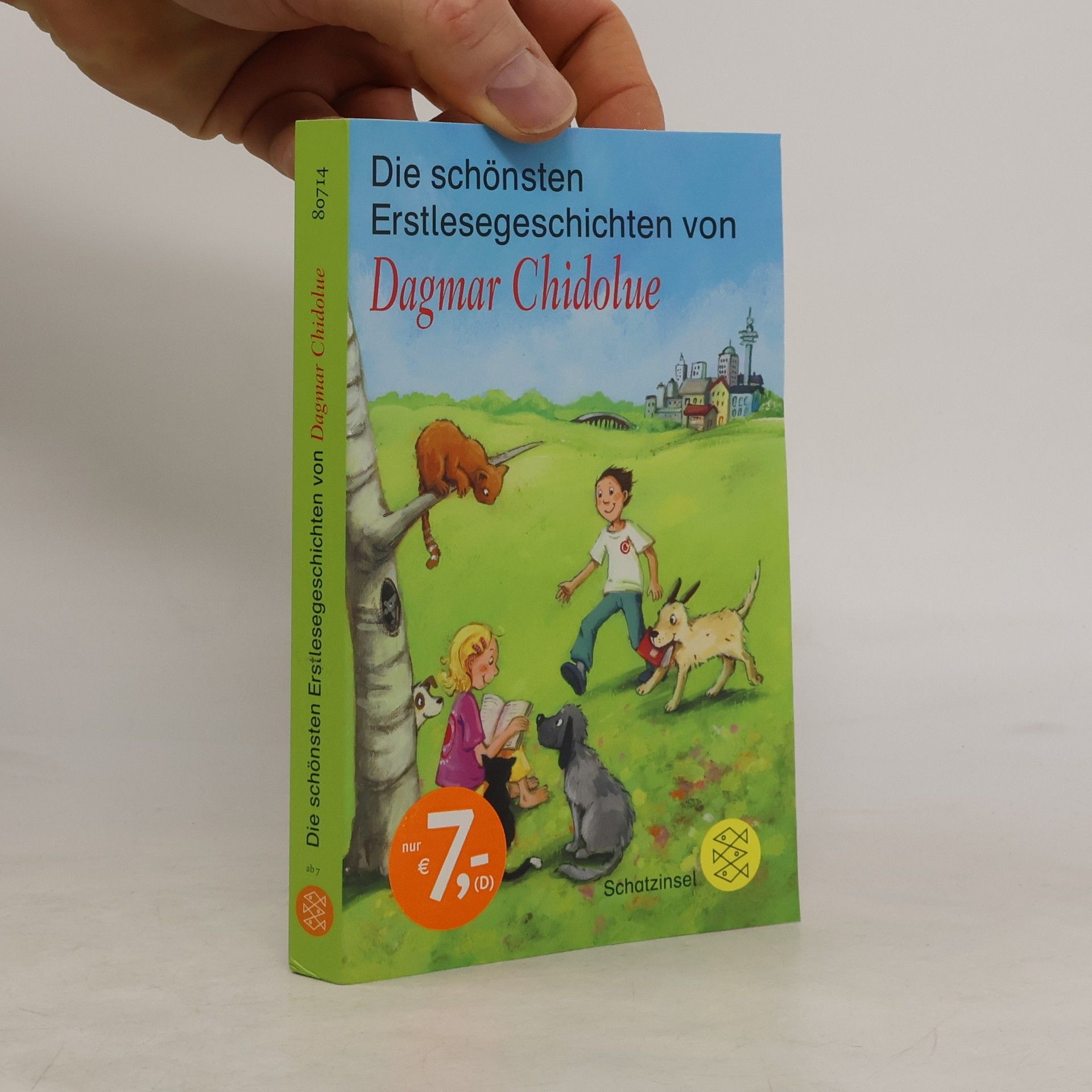 Dagmar Chidolue Die schönsten Erstlesegeschichten von Dagmar Chidolue