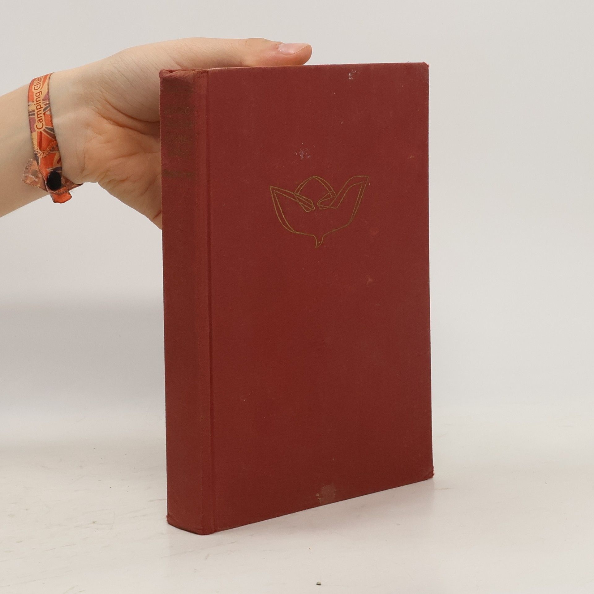 Autorenkollektiv Katholische Schulbibel