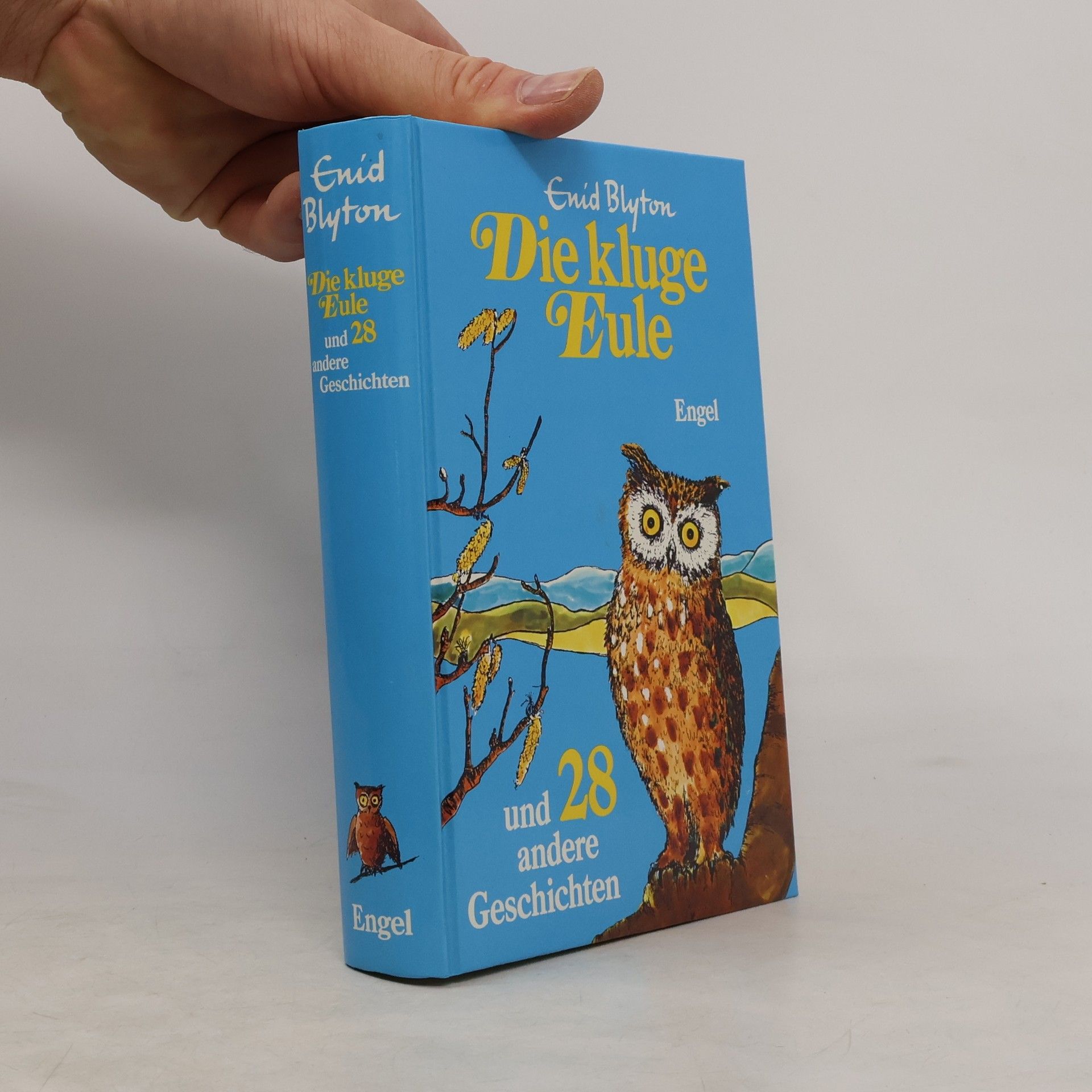 Enid Blyton Die kluge Eule