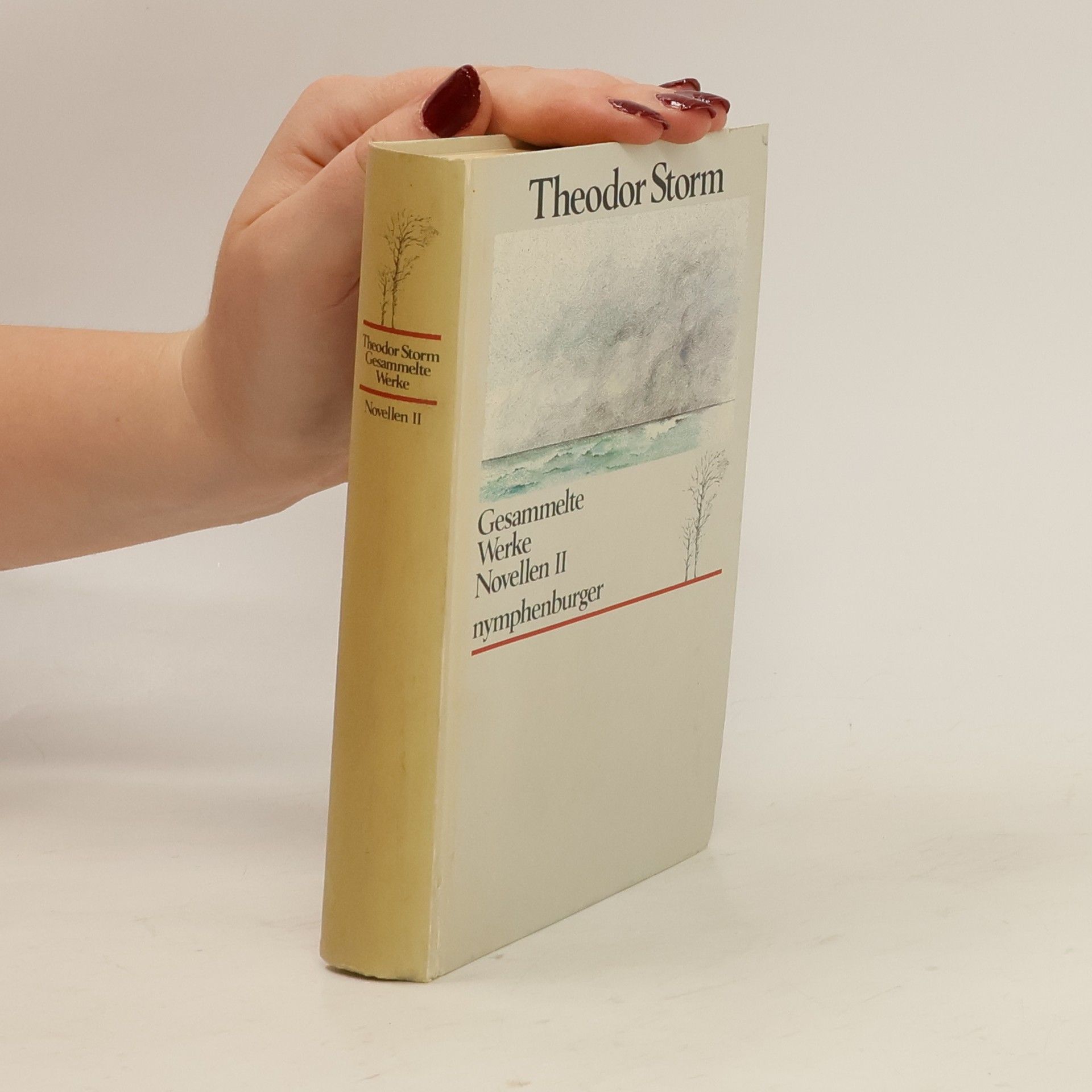 Hans Theodor Woldsen Storm Gesammelte Werke Novellen II