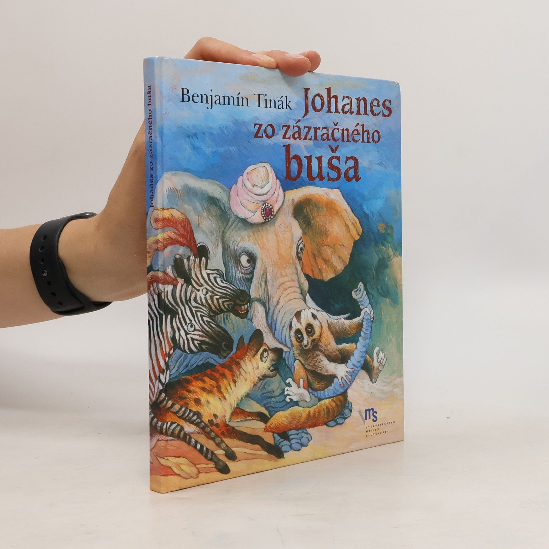 Benjamín Tinák Johanes zo zázračného buša