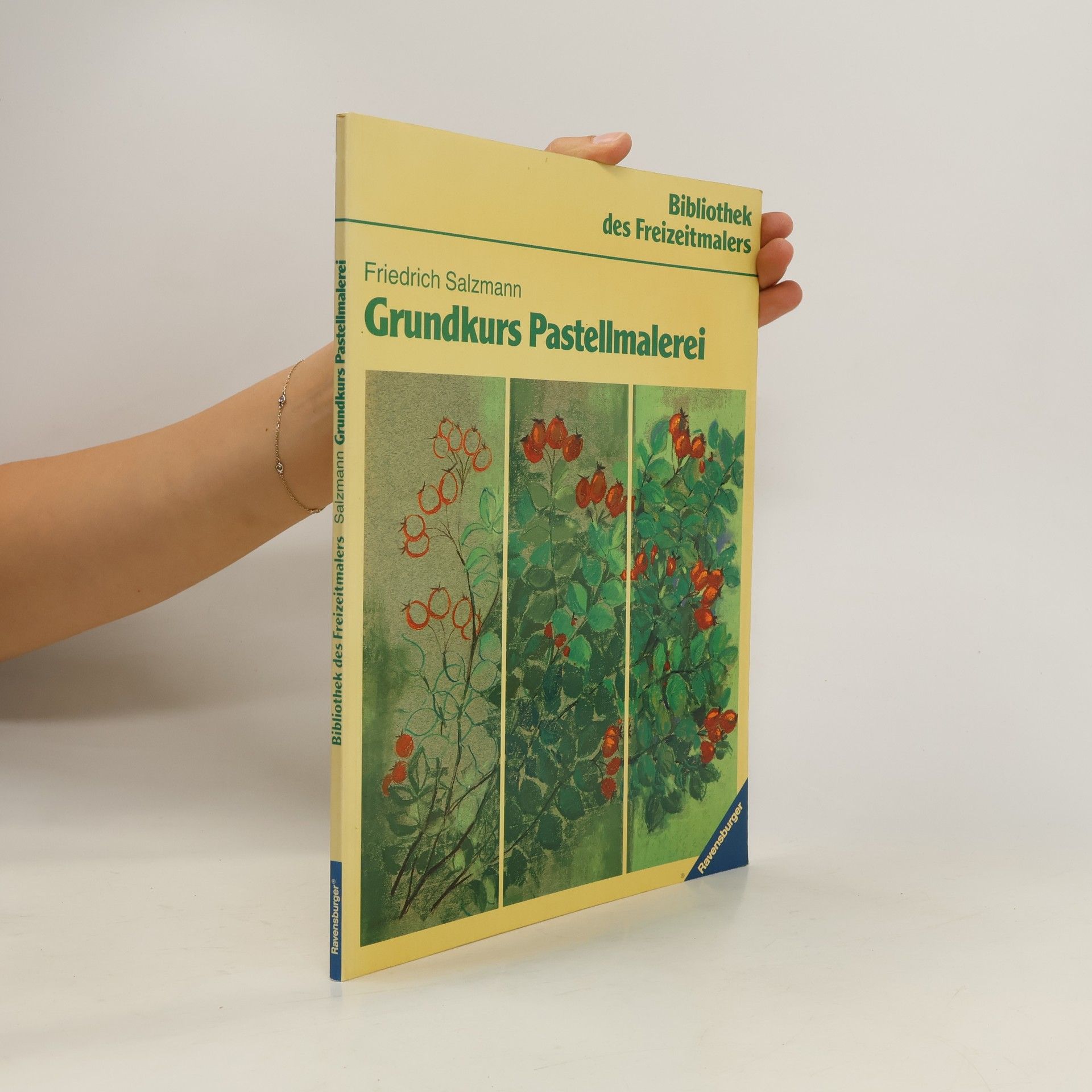 Friedrich Salzmann Grundkurs Pastellmalerei
