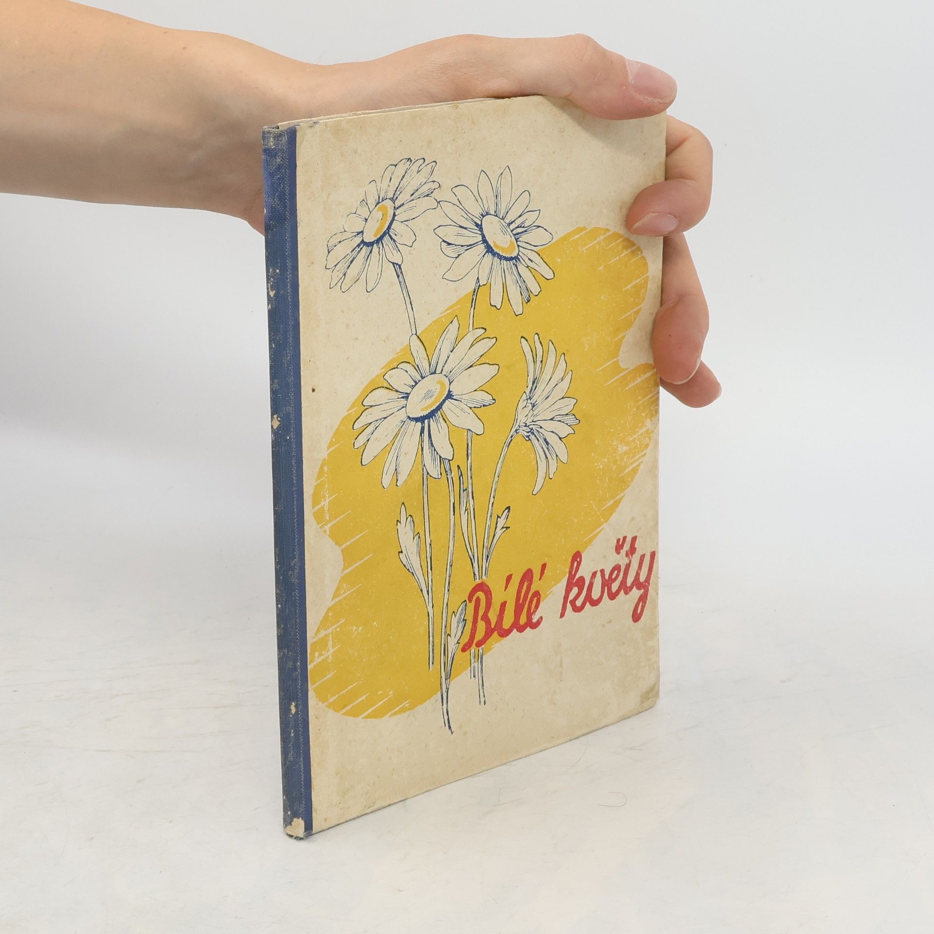 Kolektiv autorů Bílé květy