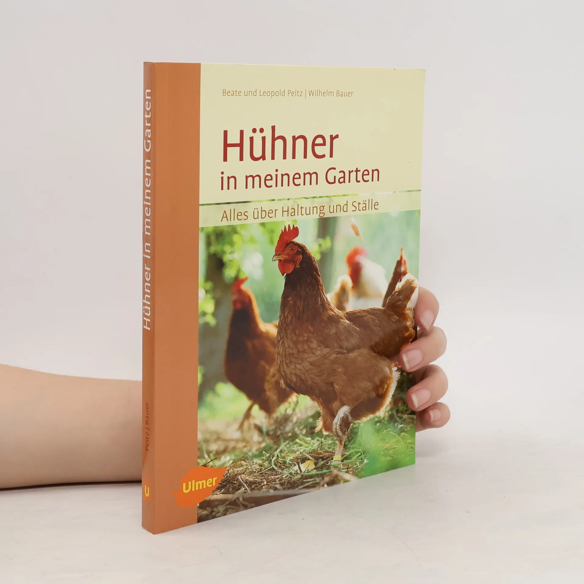 Hühner in meinem Garten | Buch | Beate Peitz