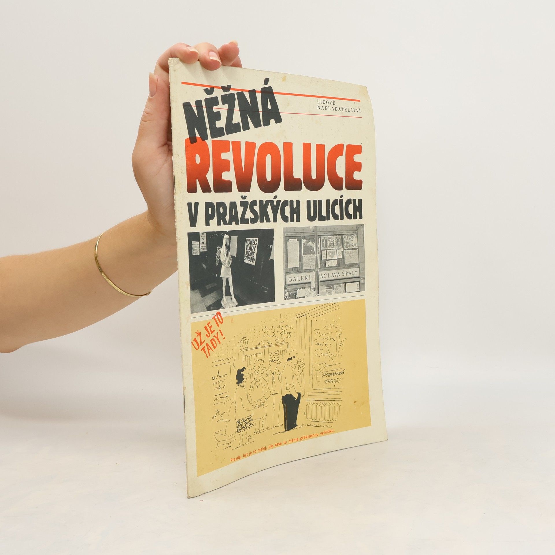 kolektiv Něžná revoluce v pražských ulicích