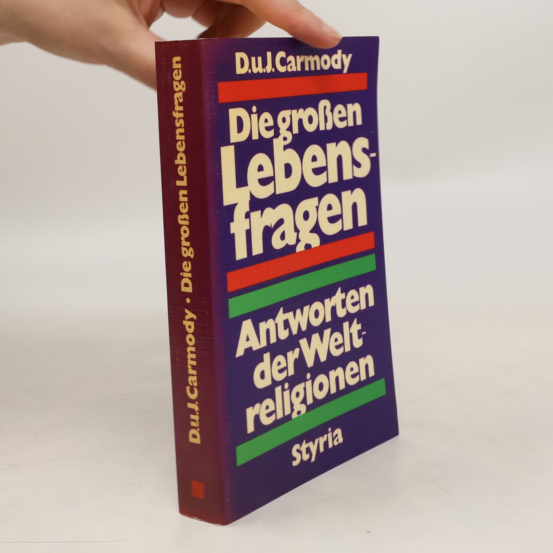 Denise Lardner Carmody Die grossen Lebensfragen