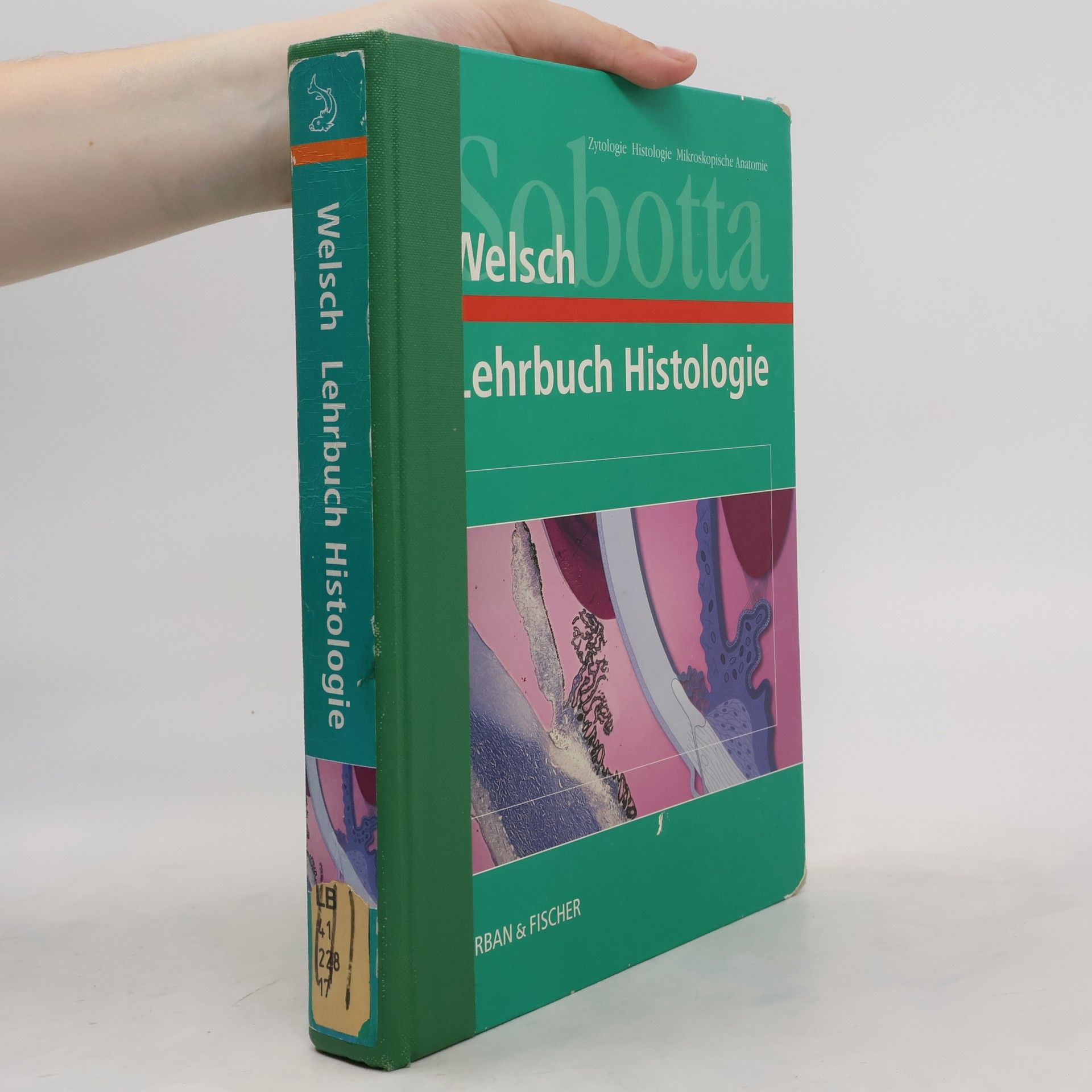 Ulrich Welsch Lehrbuch Histologie