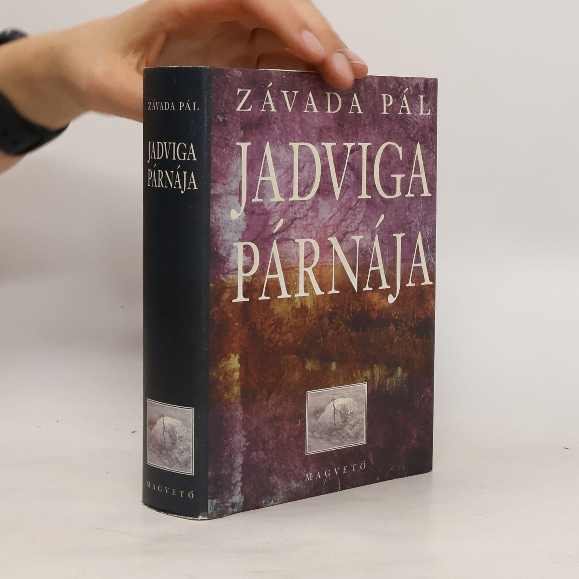 Pál Závada Jadviga párnája