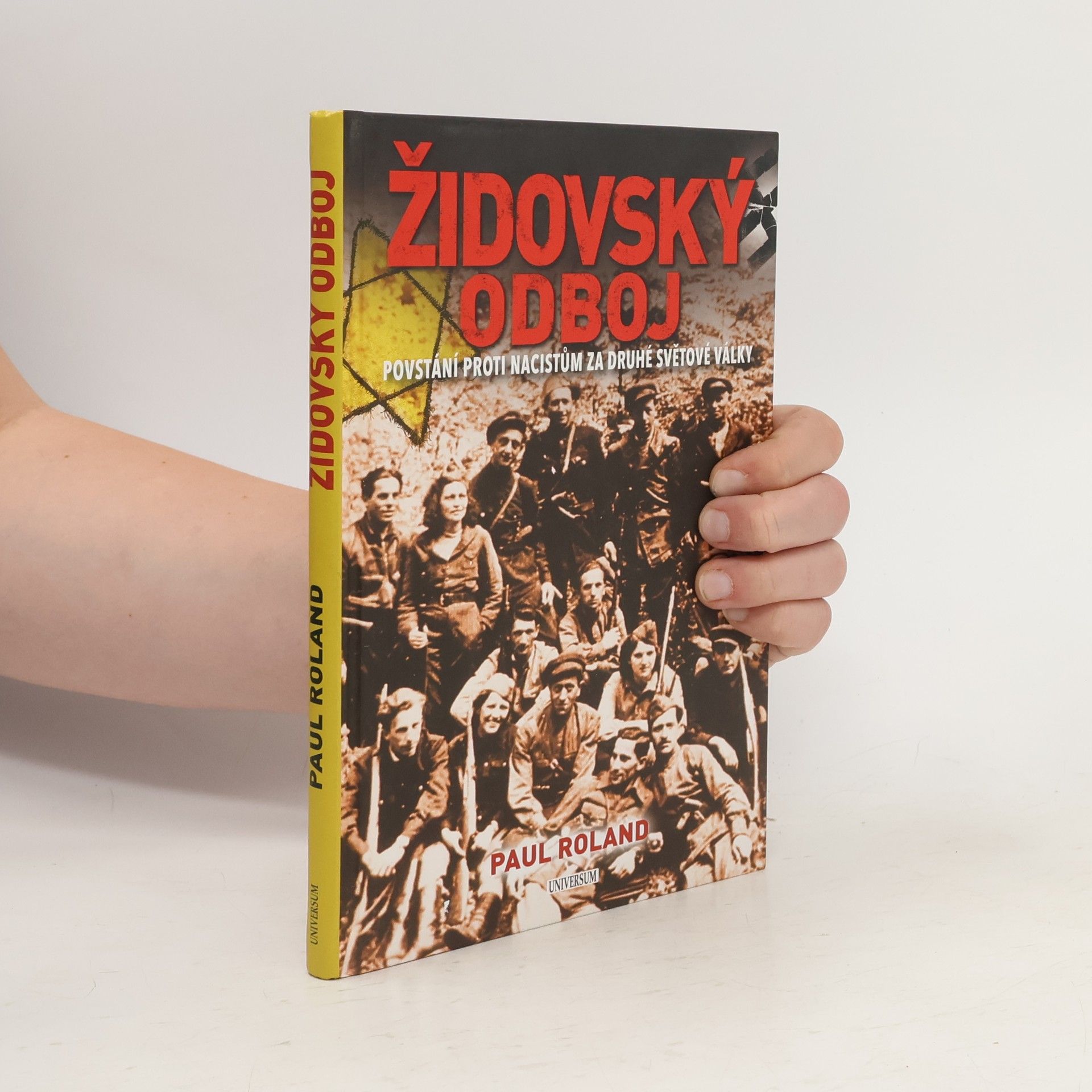Paul Roland Židovský odboj: Povstání proti nacistům za druhé světové války