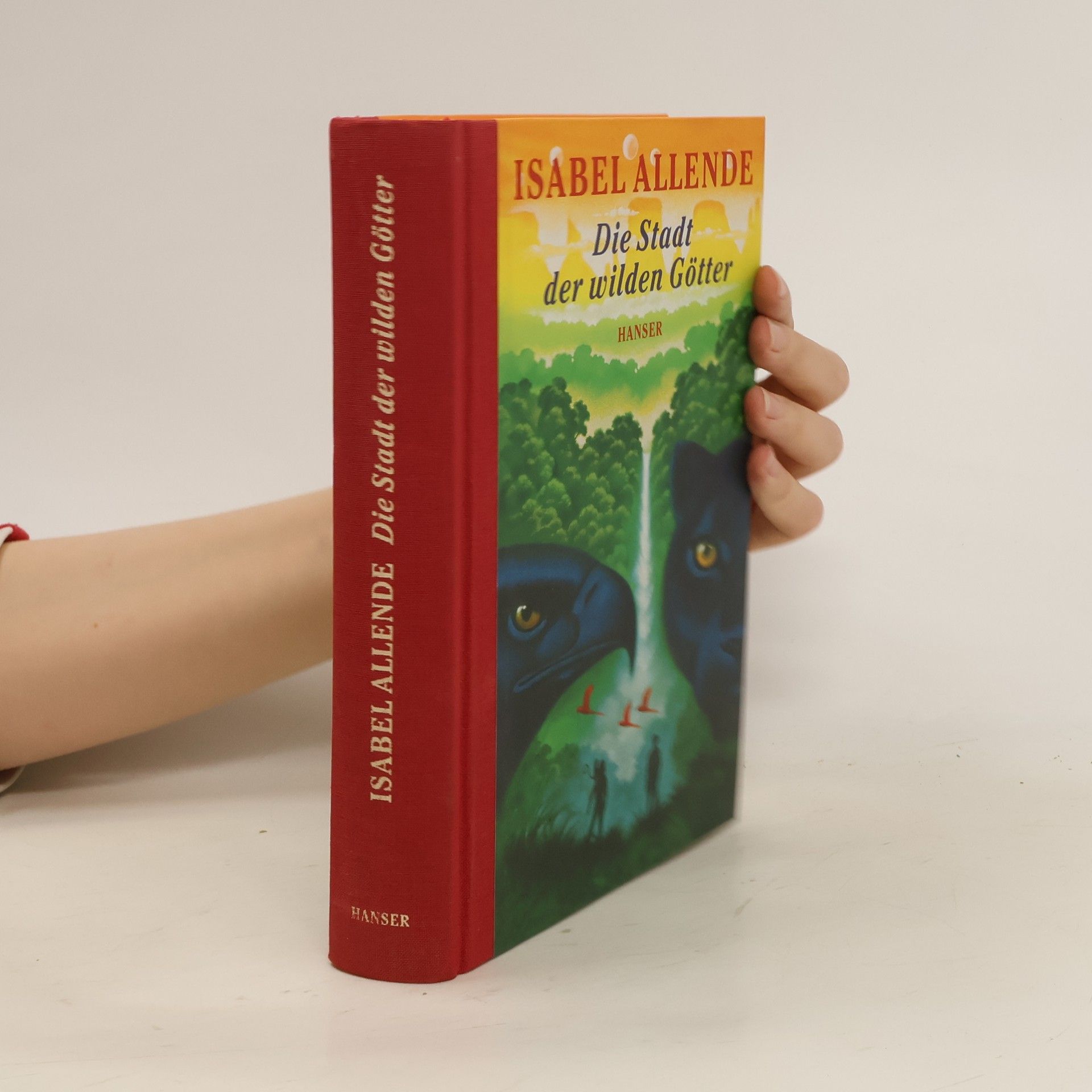 Isabel Allende Die Stadt der wilden Götter