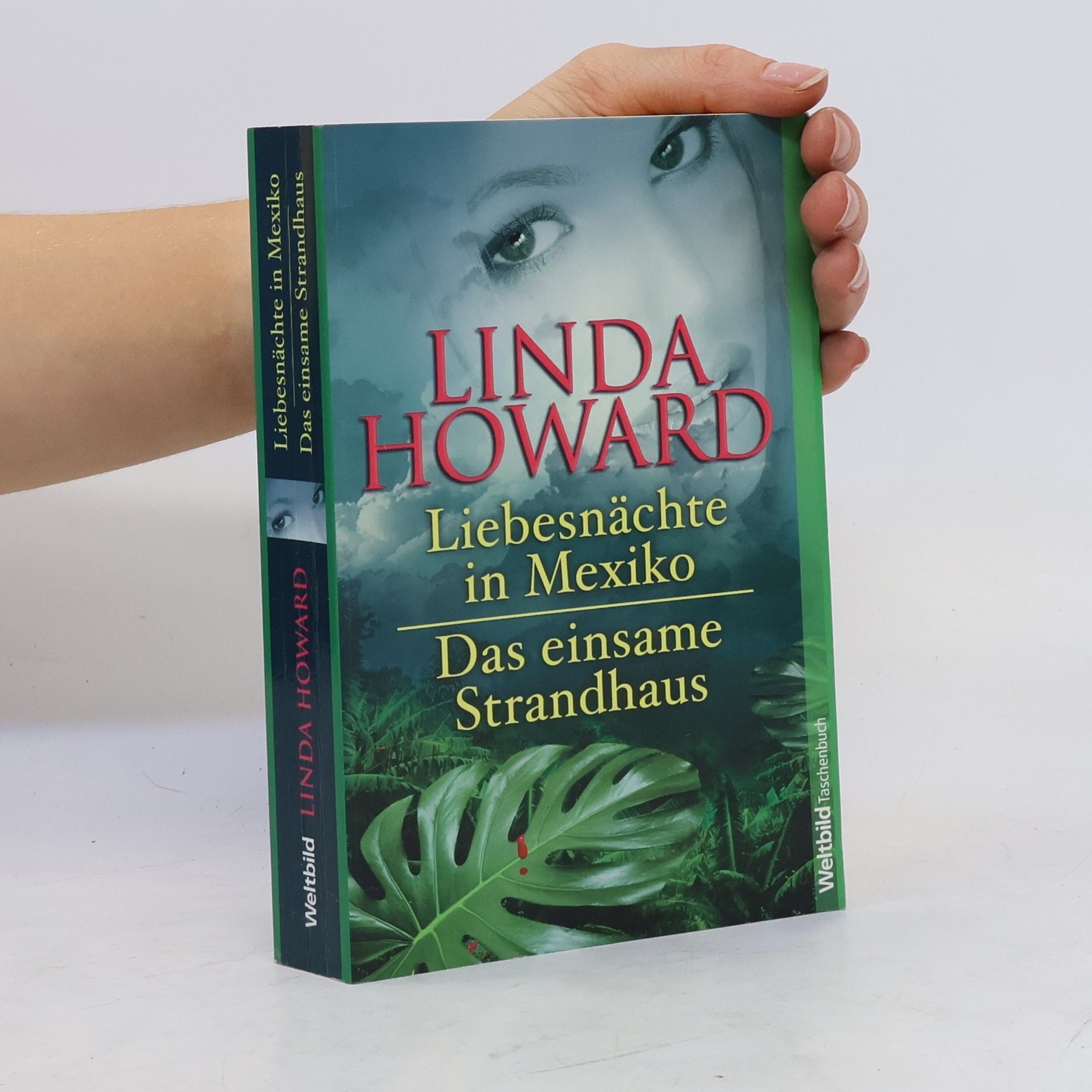 Linda Howard Liebesnächte in Mexiko