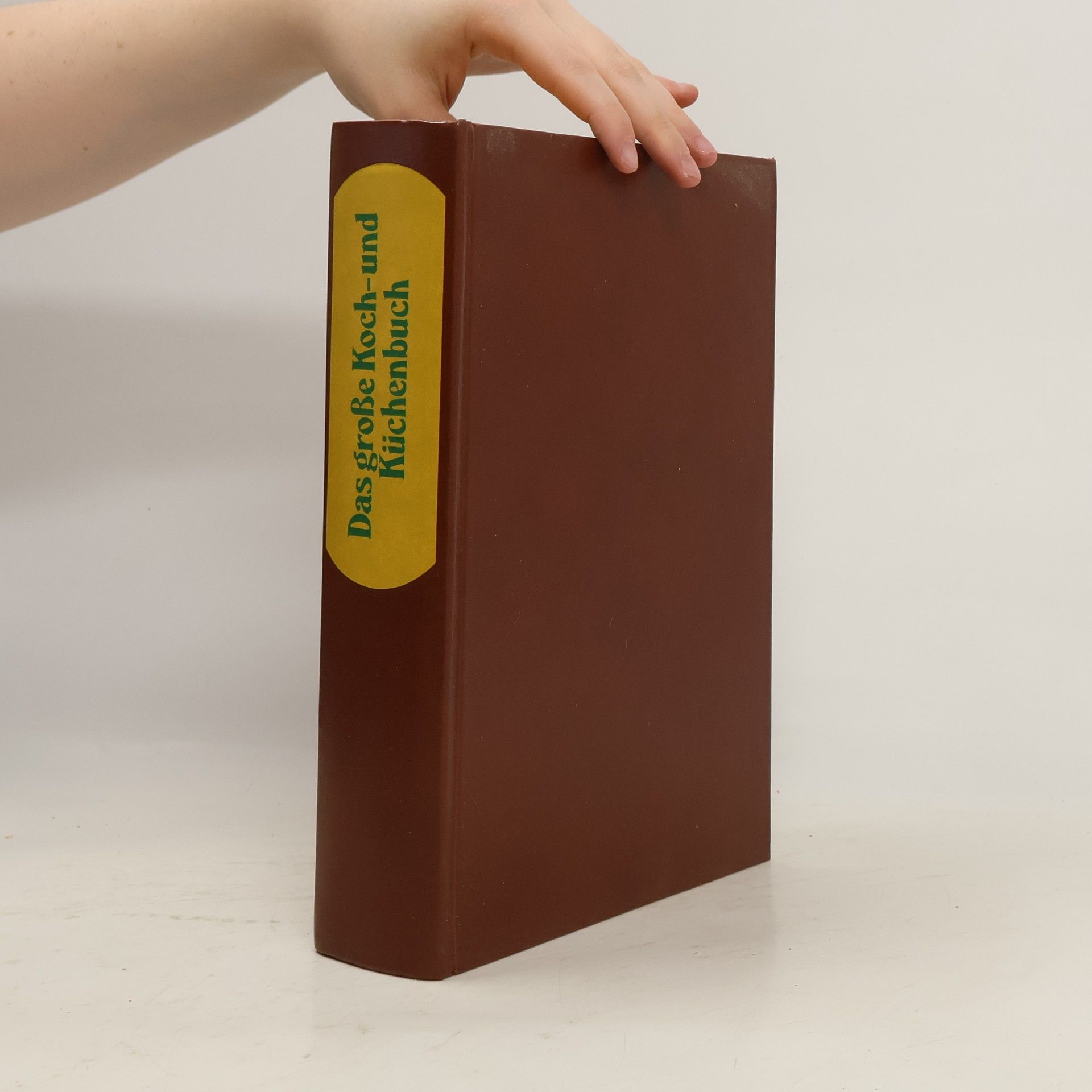 H. Scharfenberg Das große Koch- und Küchenbuch