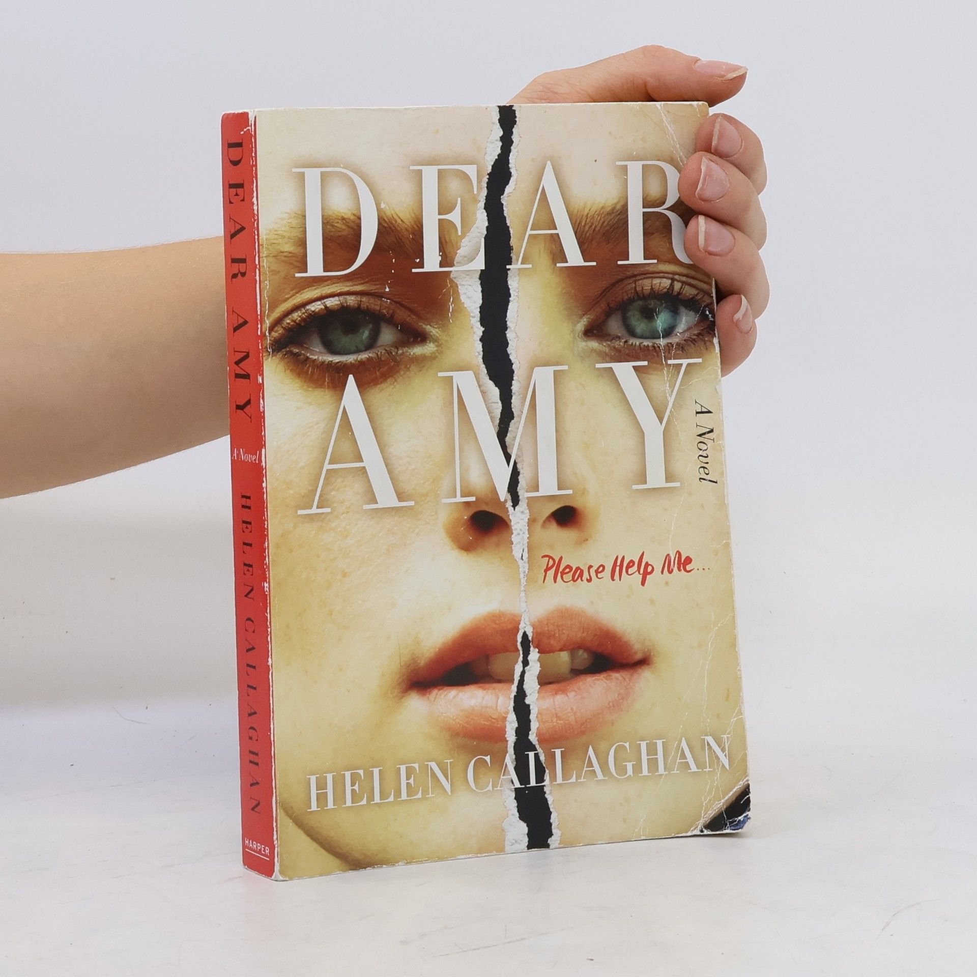 Helen Callaghan Dear Amy