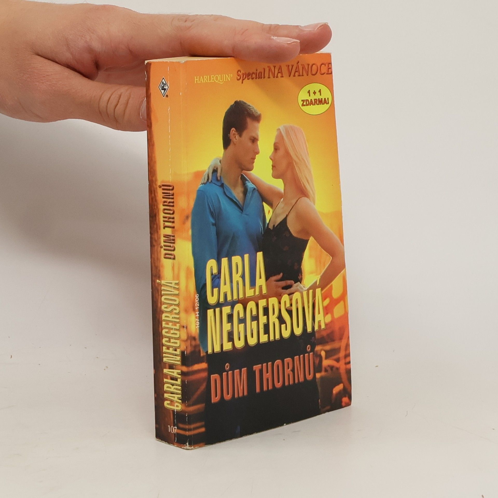 Carla Neggers Dům Thornů