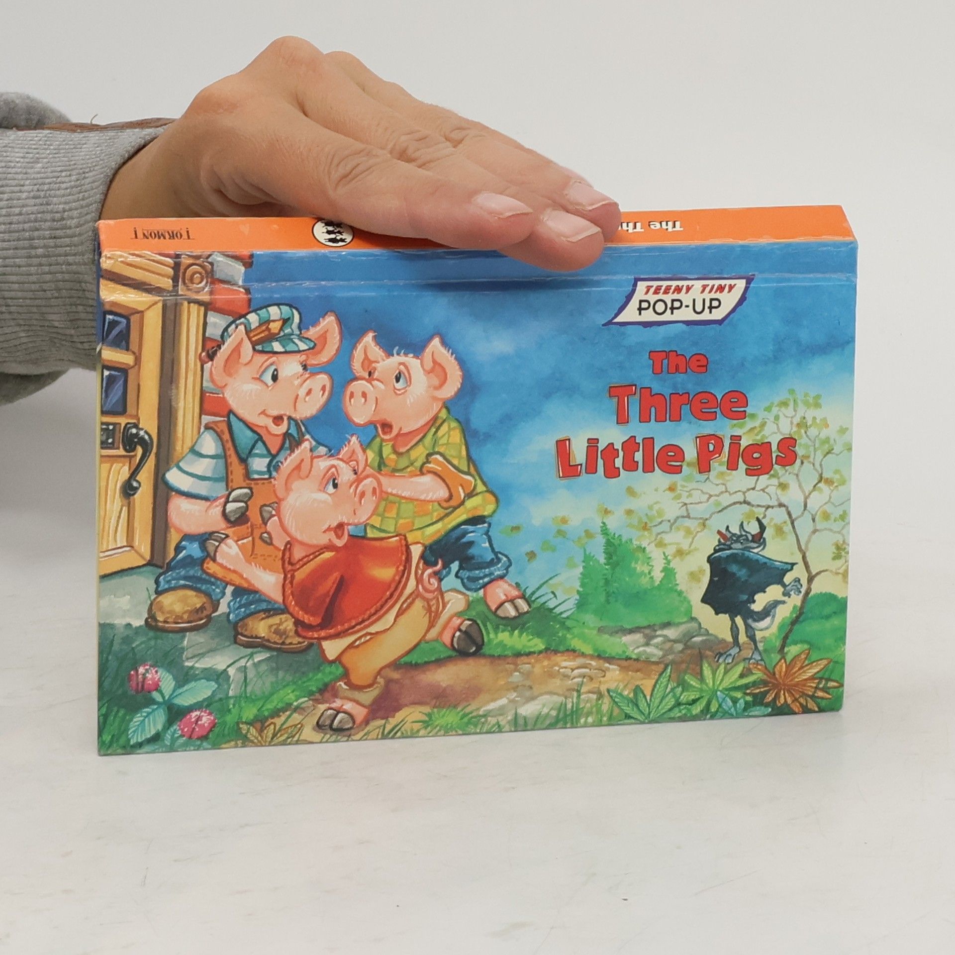 Robyn Bryant The Three Little Pigs