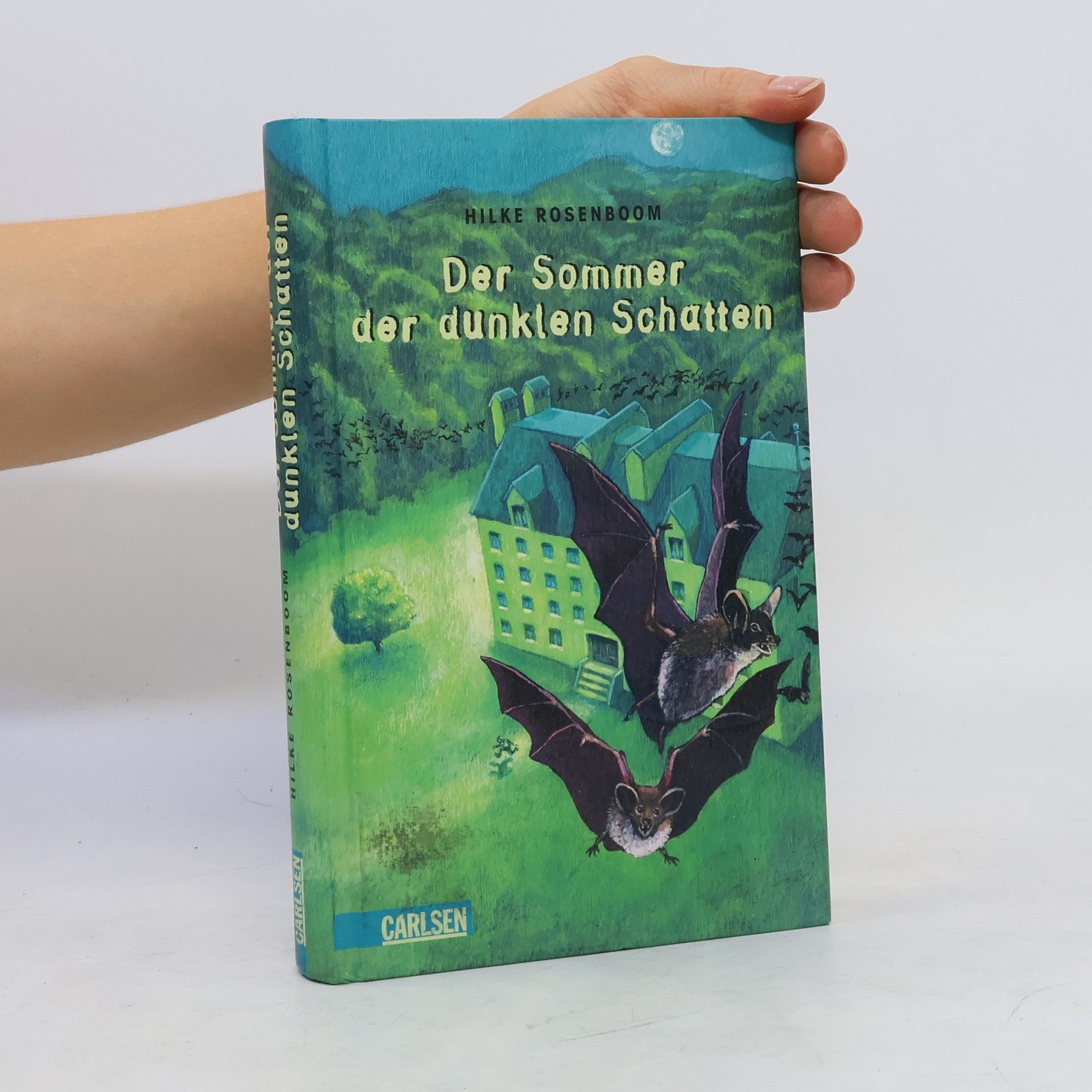 Hilke Rosenboom Der Sommer der dunklen Schatten