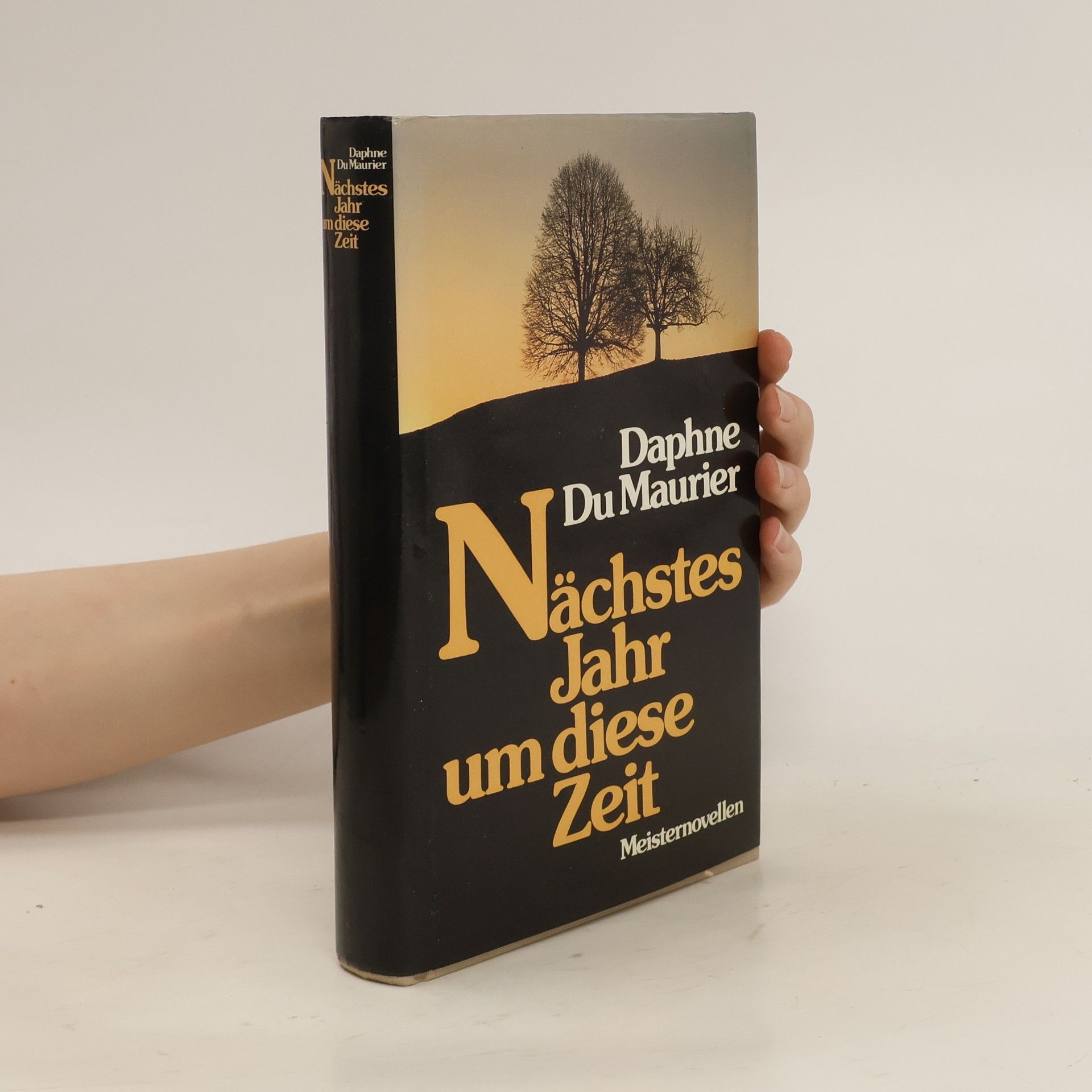 Daphne du Maurierová Nächstes Jahr um diese Zeit