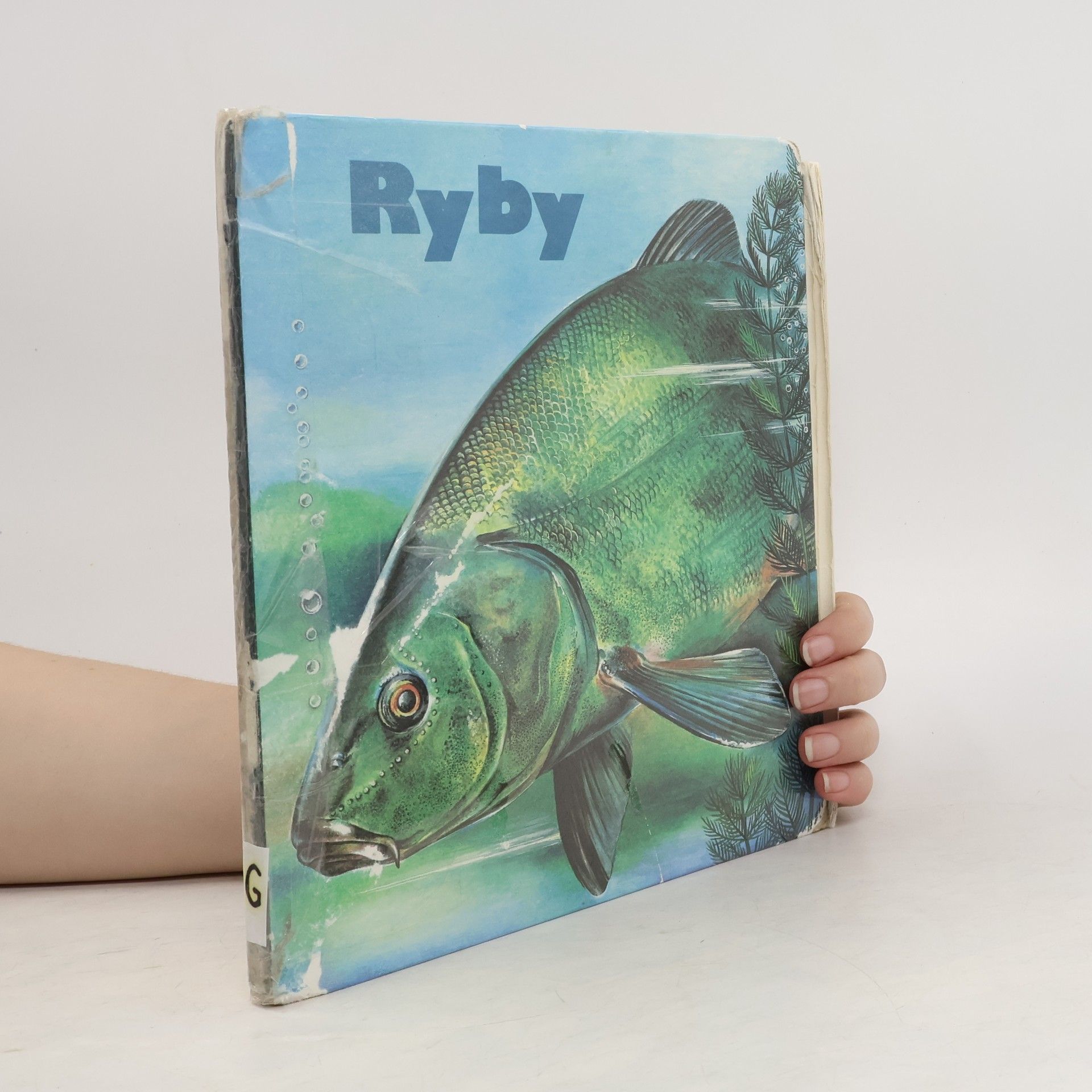 kolektiv Ryby